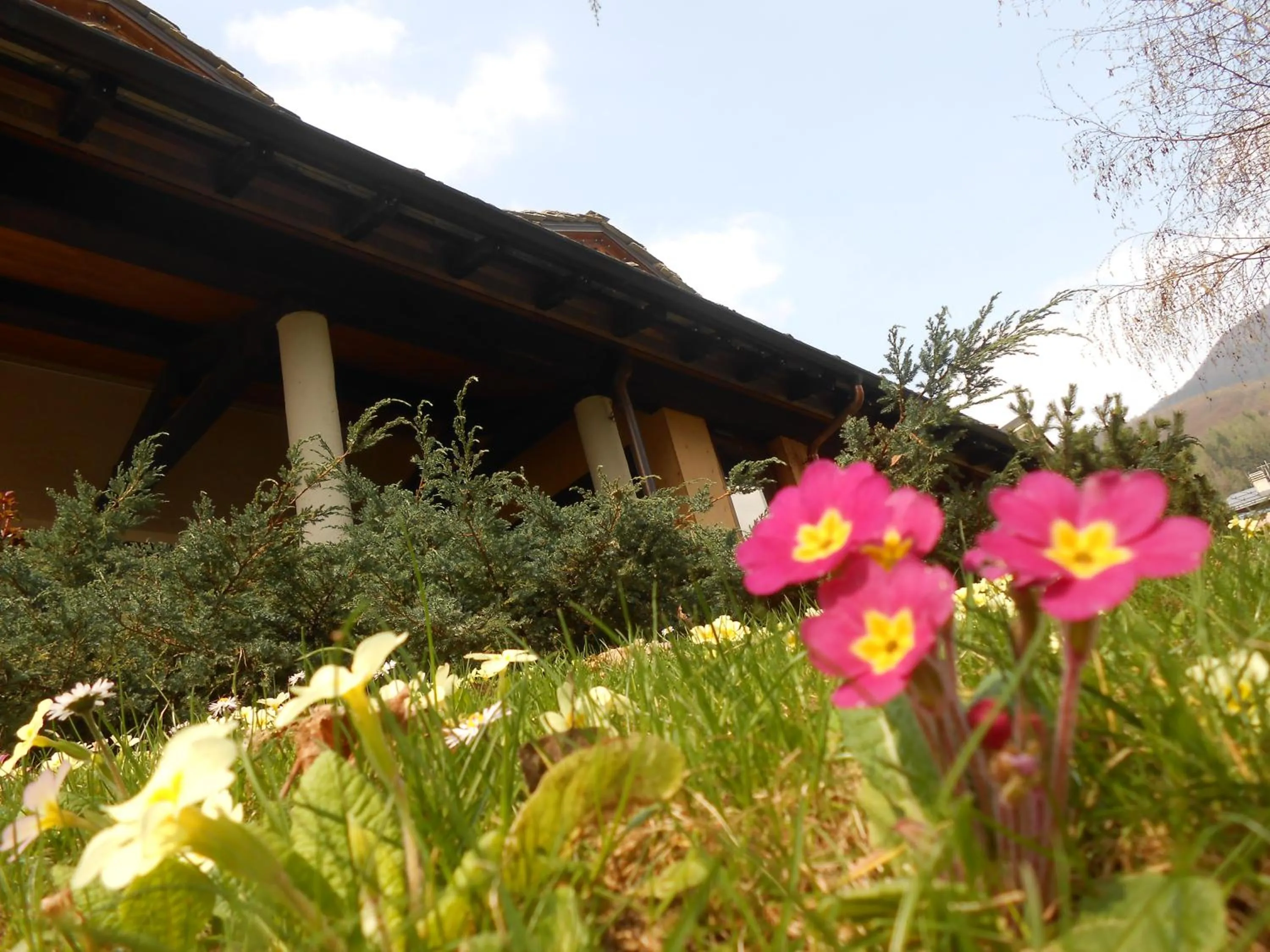 Garden in Relais Del Nazionale