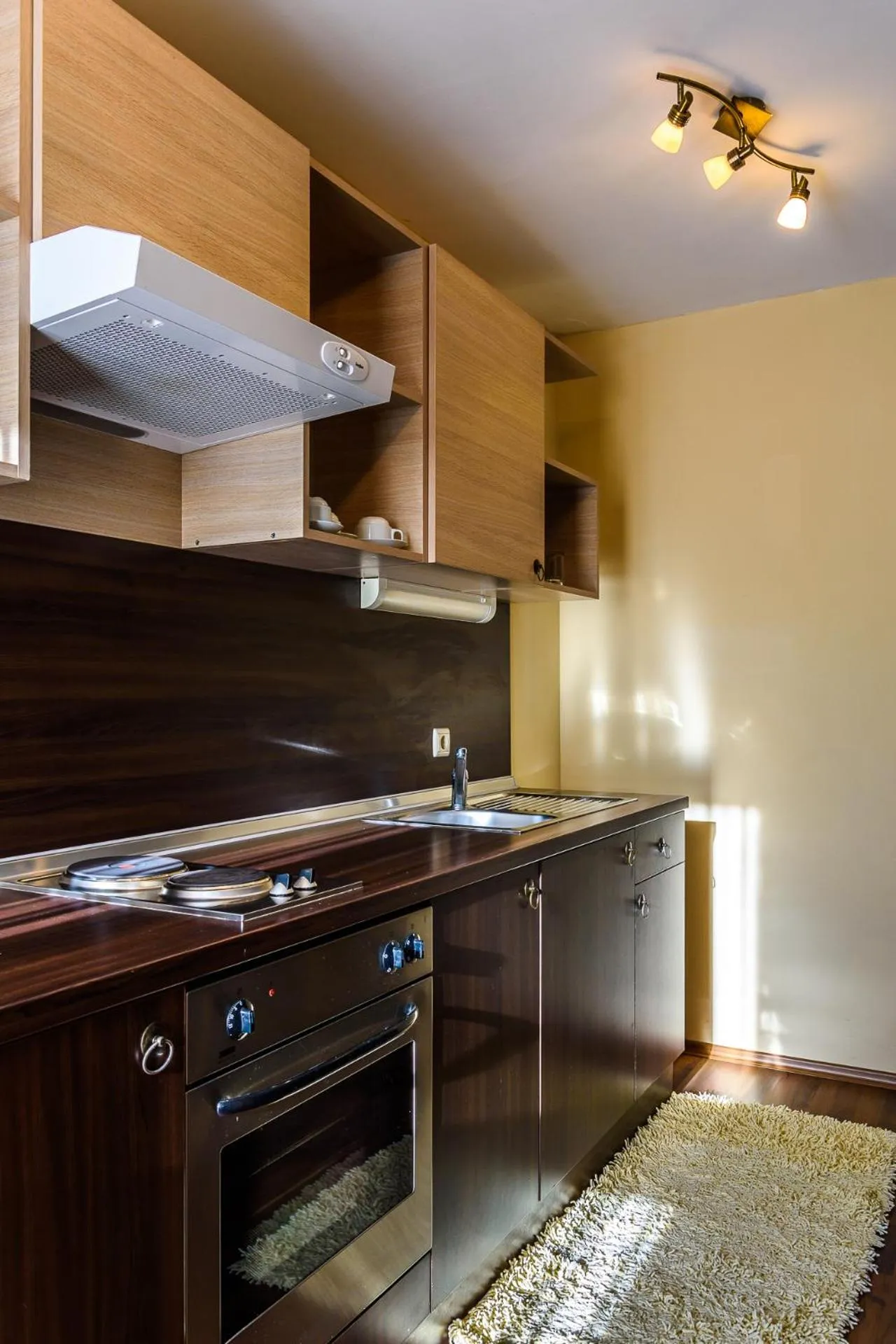 Kitchen or kitchenette in Apart Hotel Dream