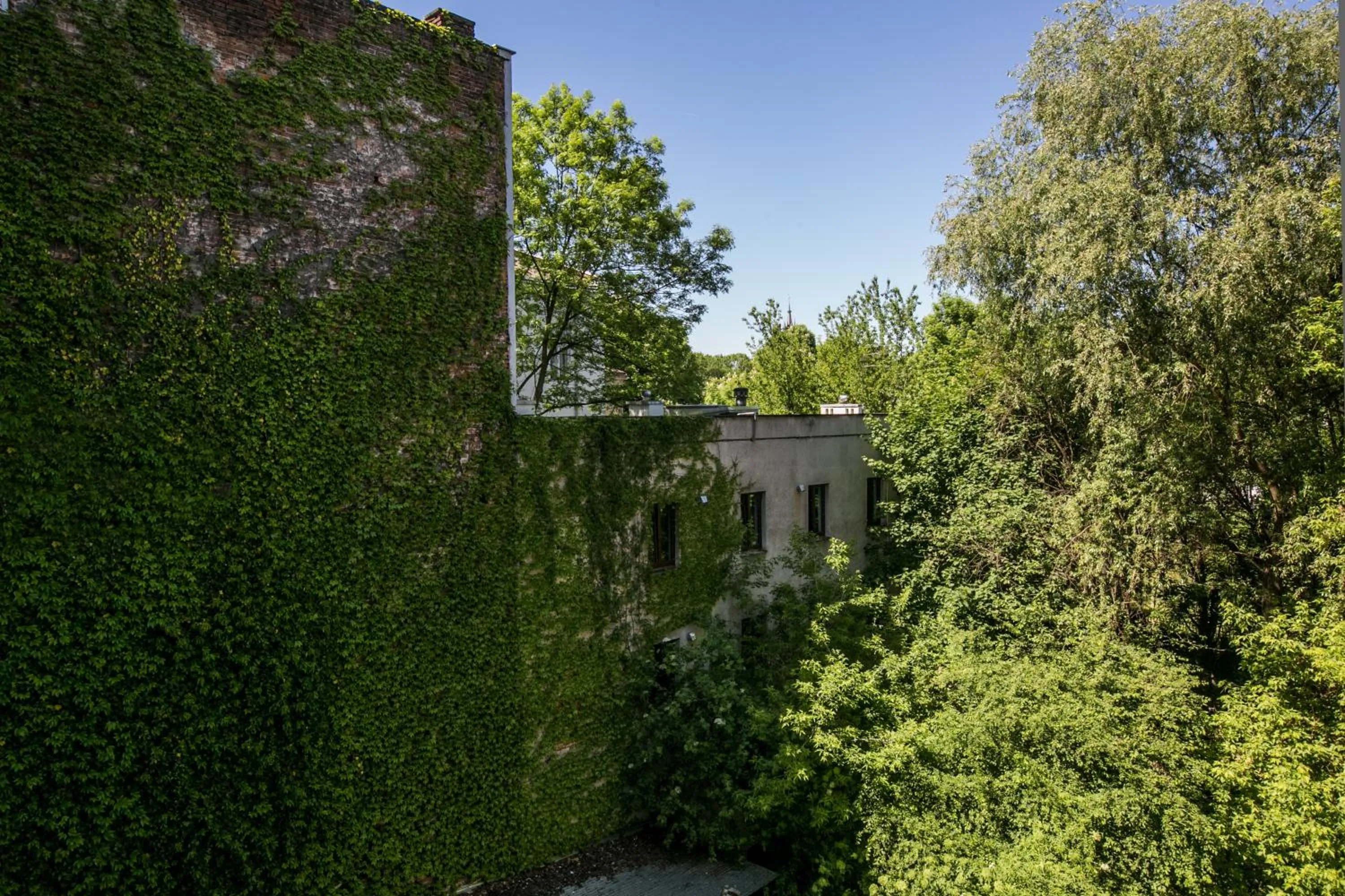 Natural landscape in Otium Old Town Sarego