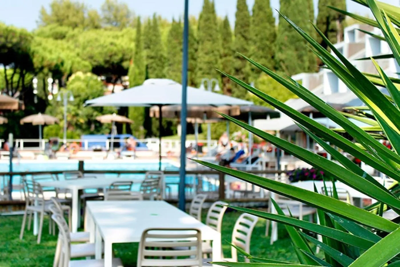 Swimming pool in PFA Hotel La Darsena - Follonica