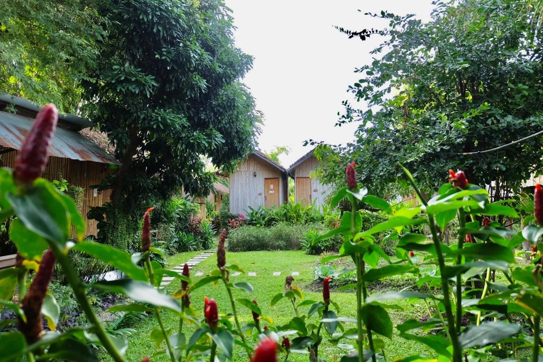 Natural landscape in Lanna House Lanna Hut Chiangmai