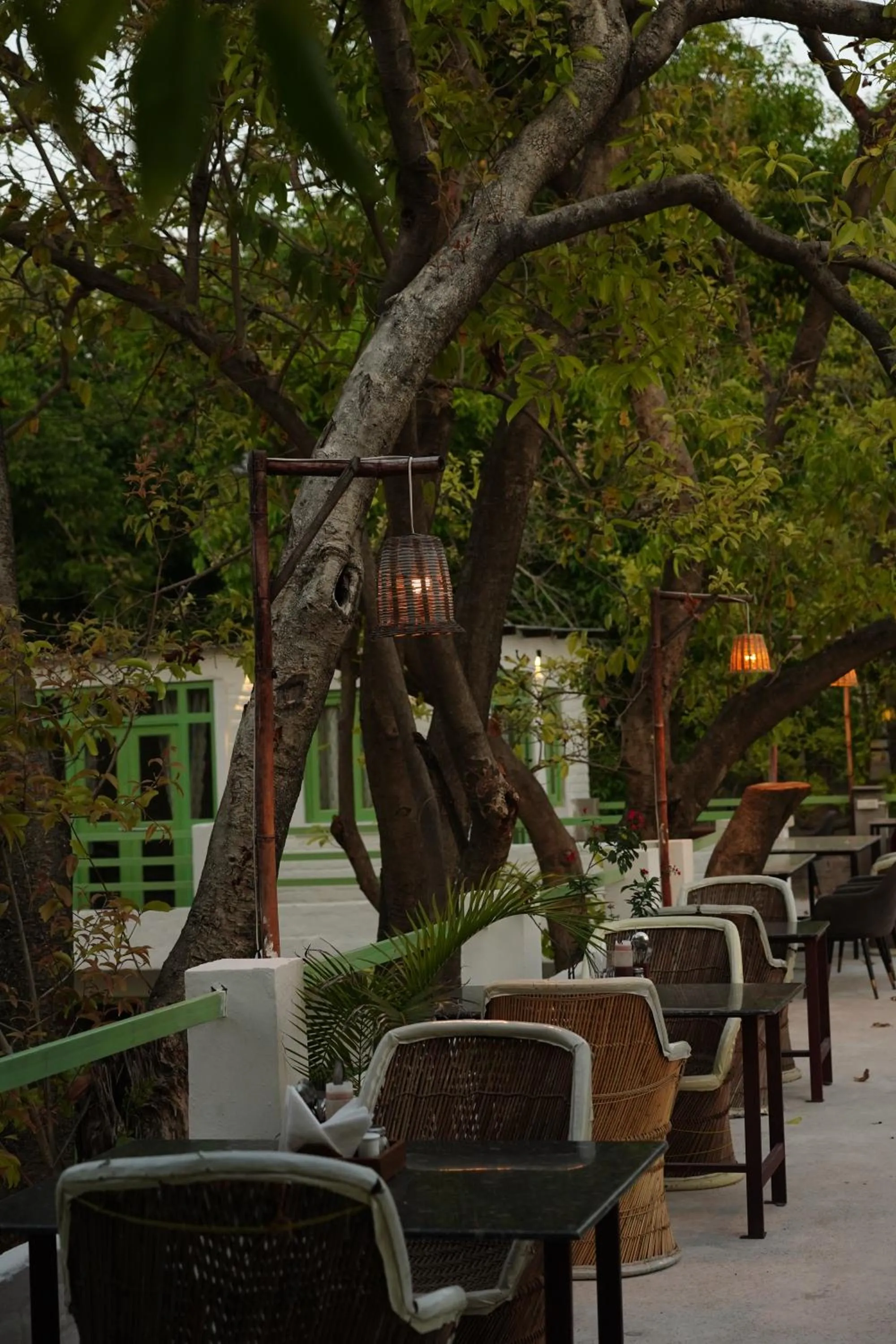 Restaurant/places to eat in Heli Pushkar