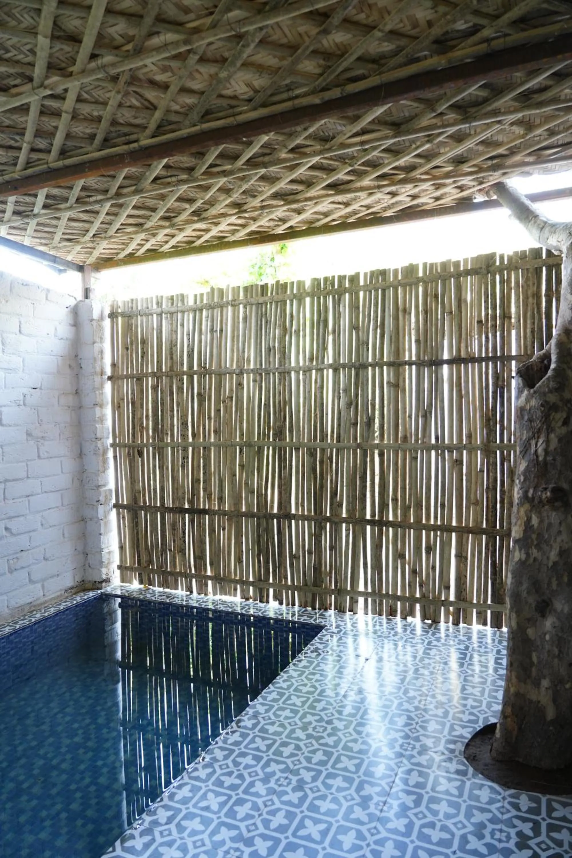 Swimming pool in Heli Pushkar