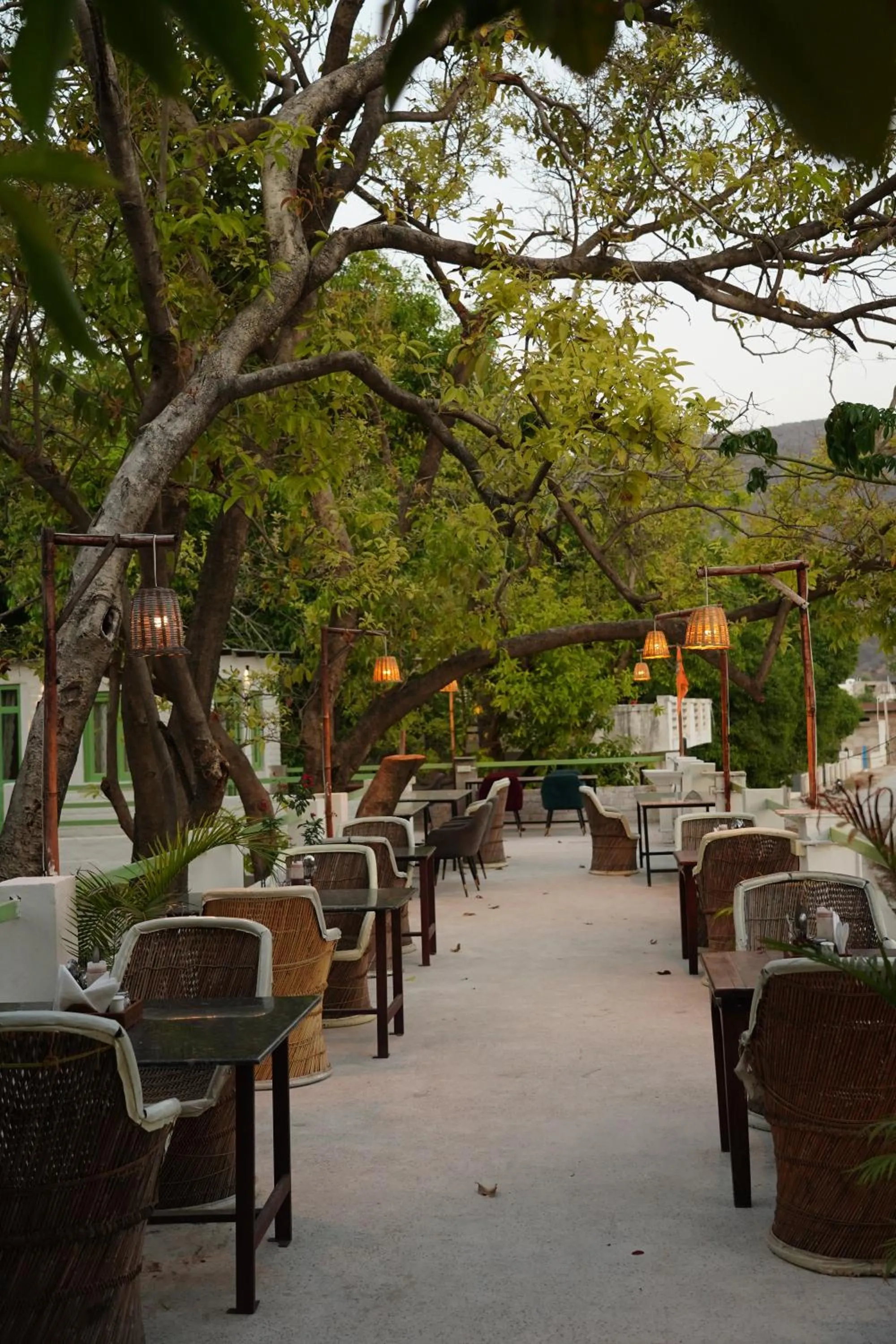Restaurant/places to eat in Heli Pushkar