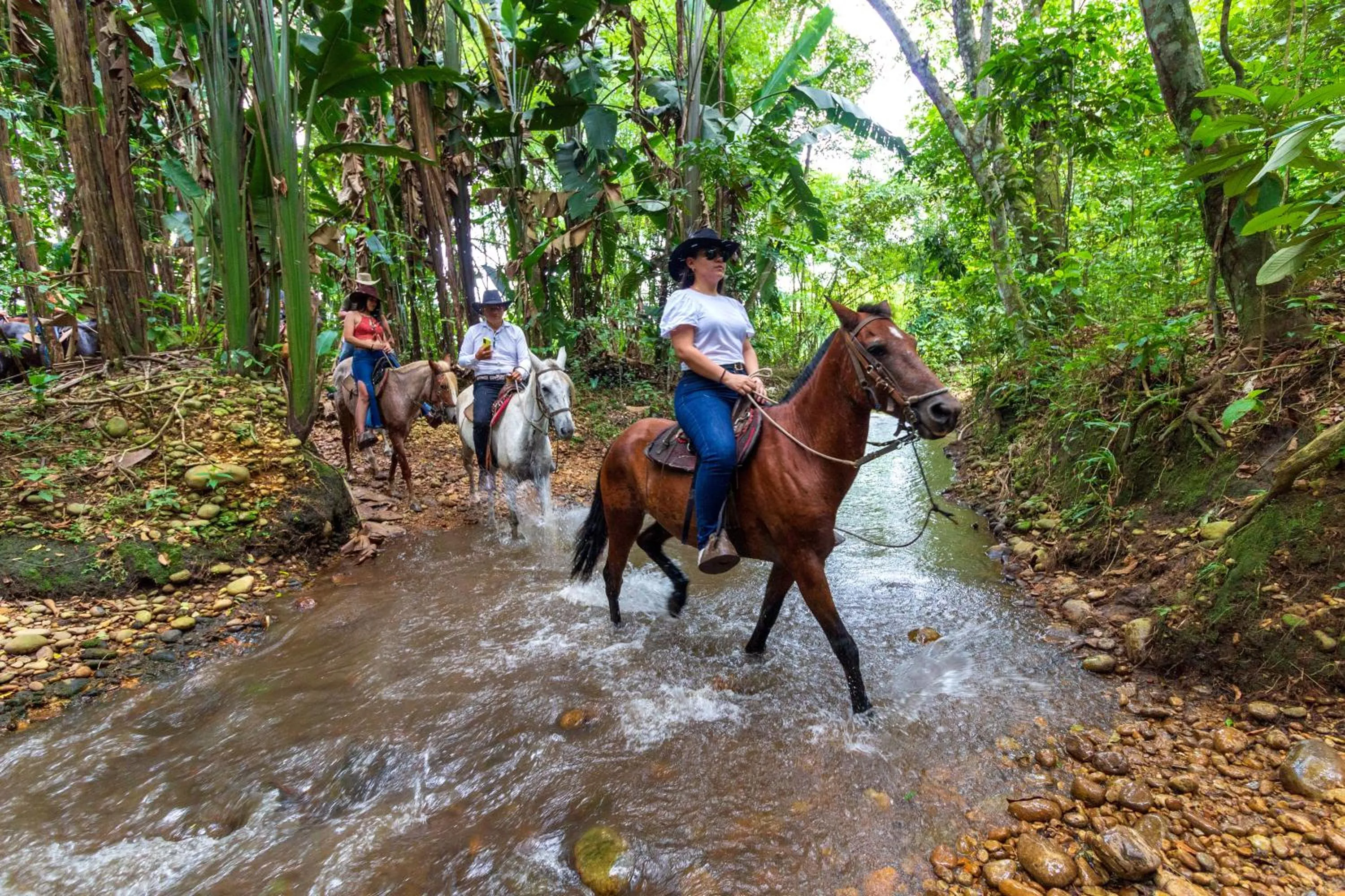 Animals in Hotel Campestre La Potra