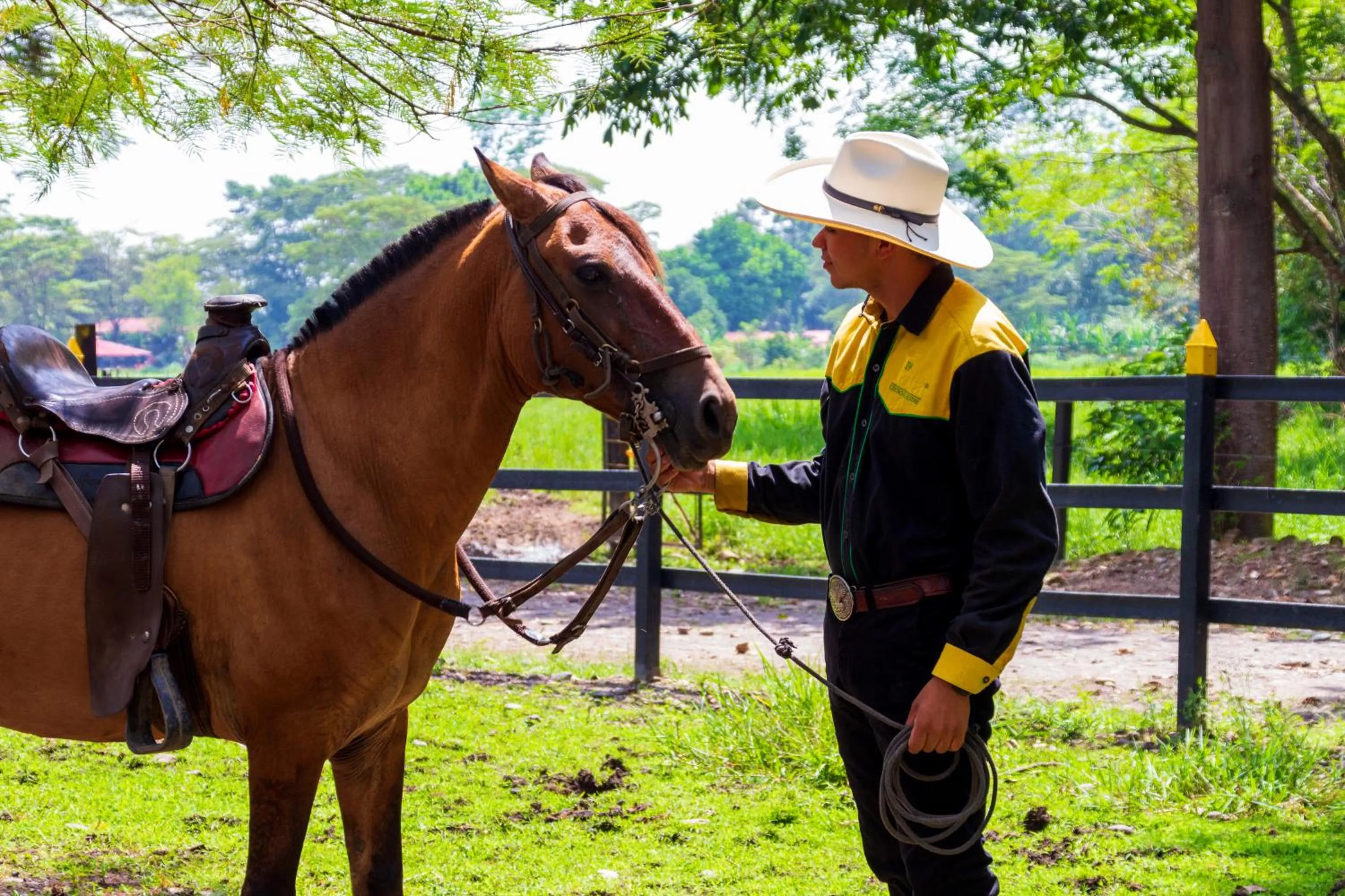 Animals in Hotel Campestre La Potra