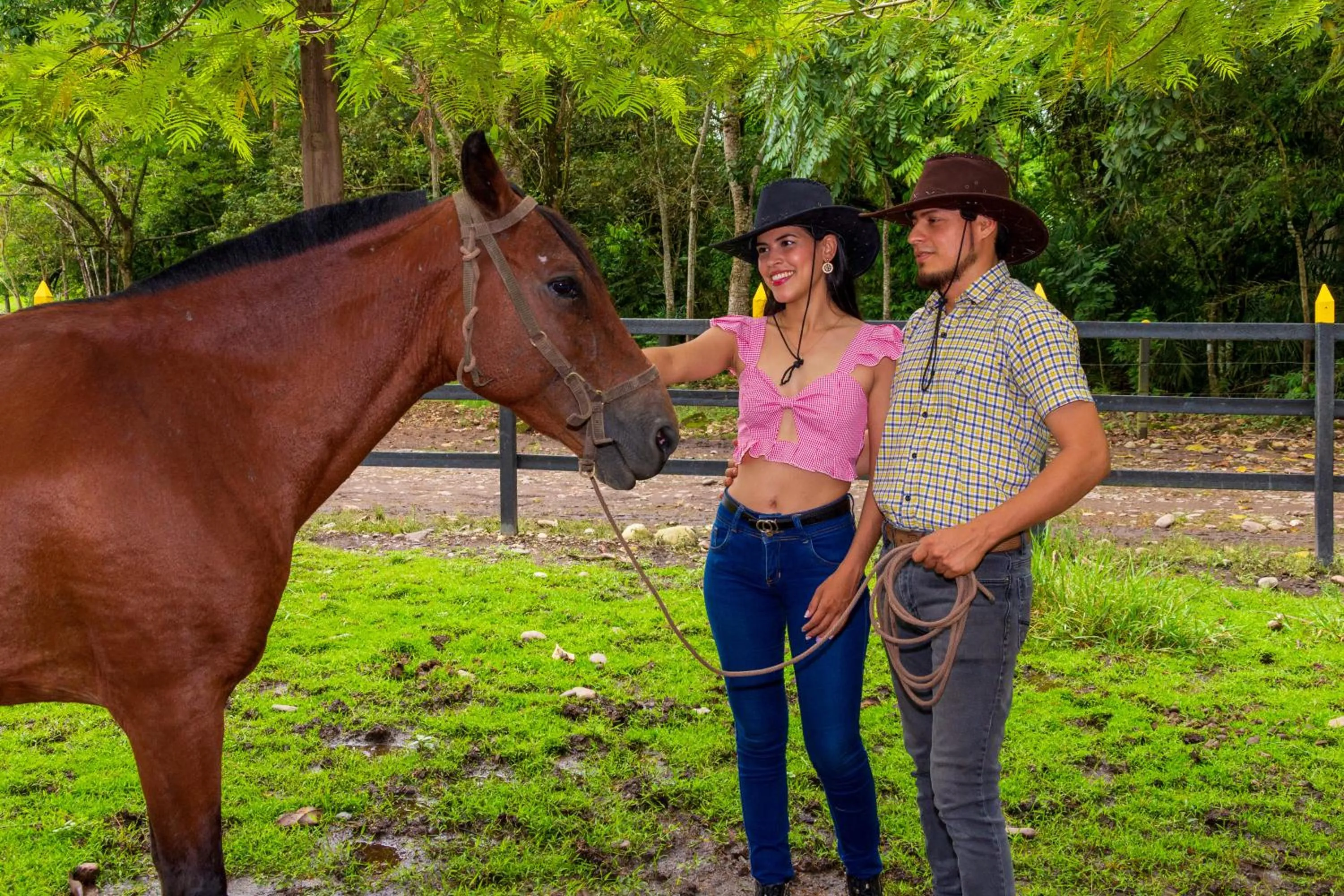 Animals in Hotel Campestre La Potra