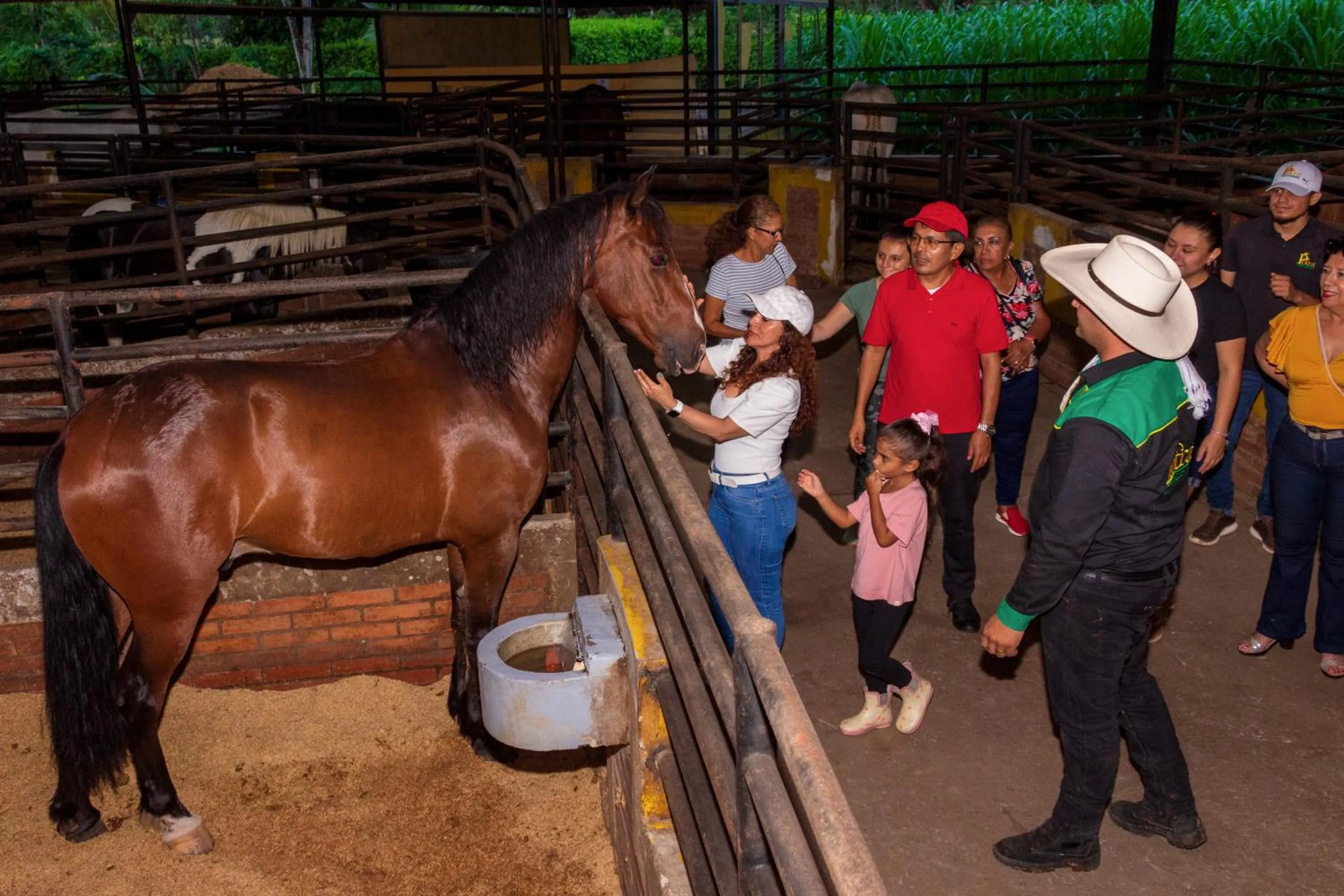 Animals in Hotel Campestre La Potra