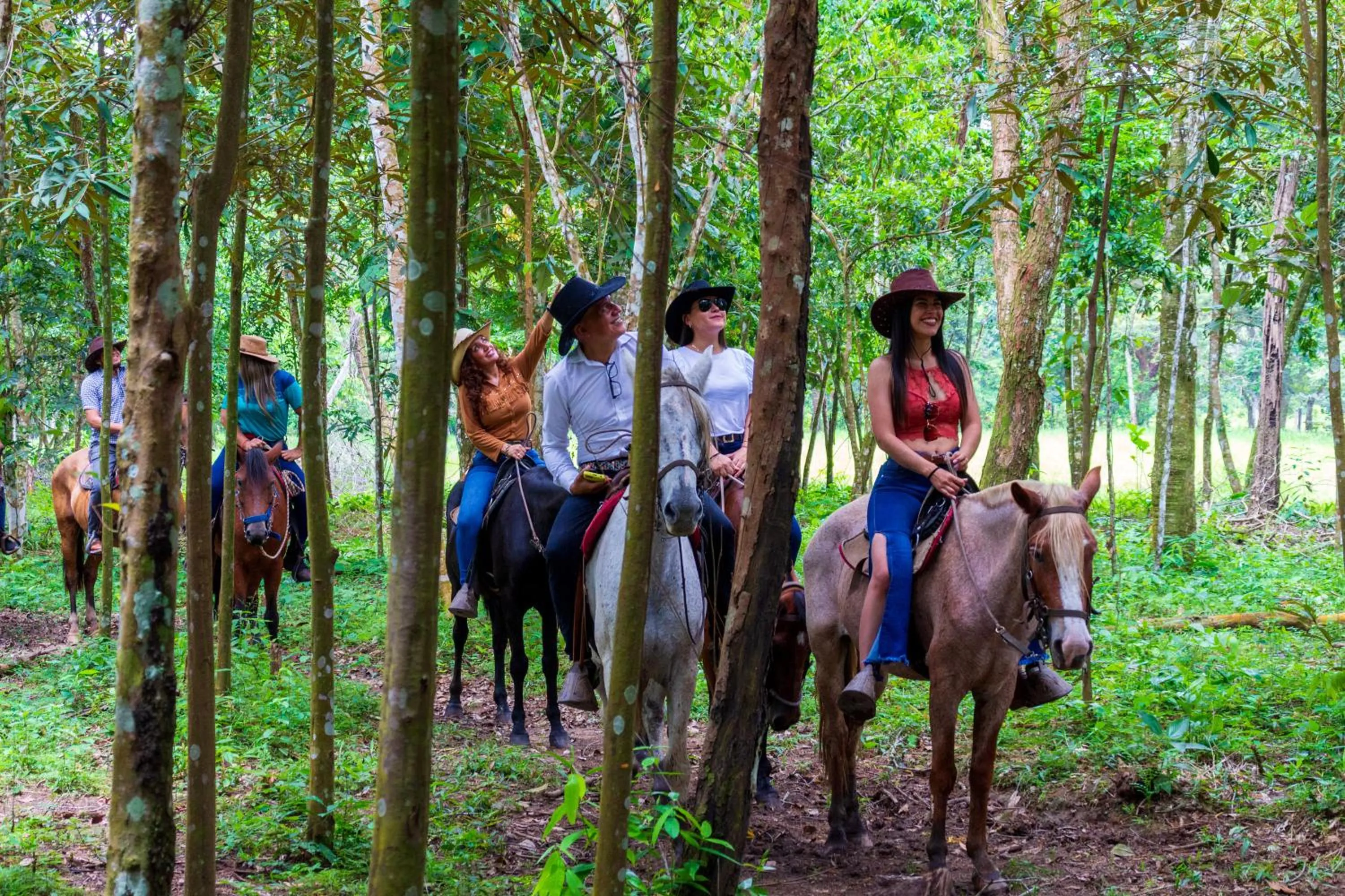 Animals in Hotel Campestre La Potra