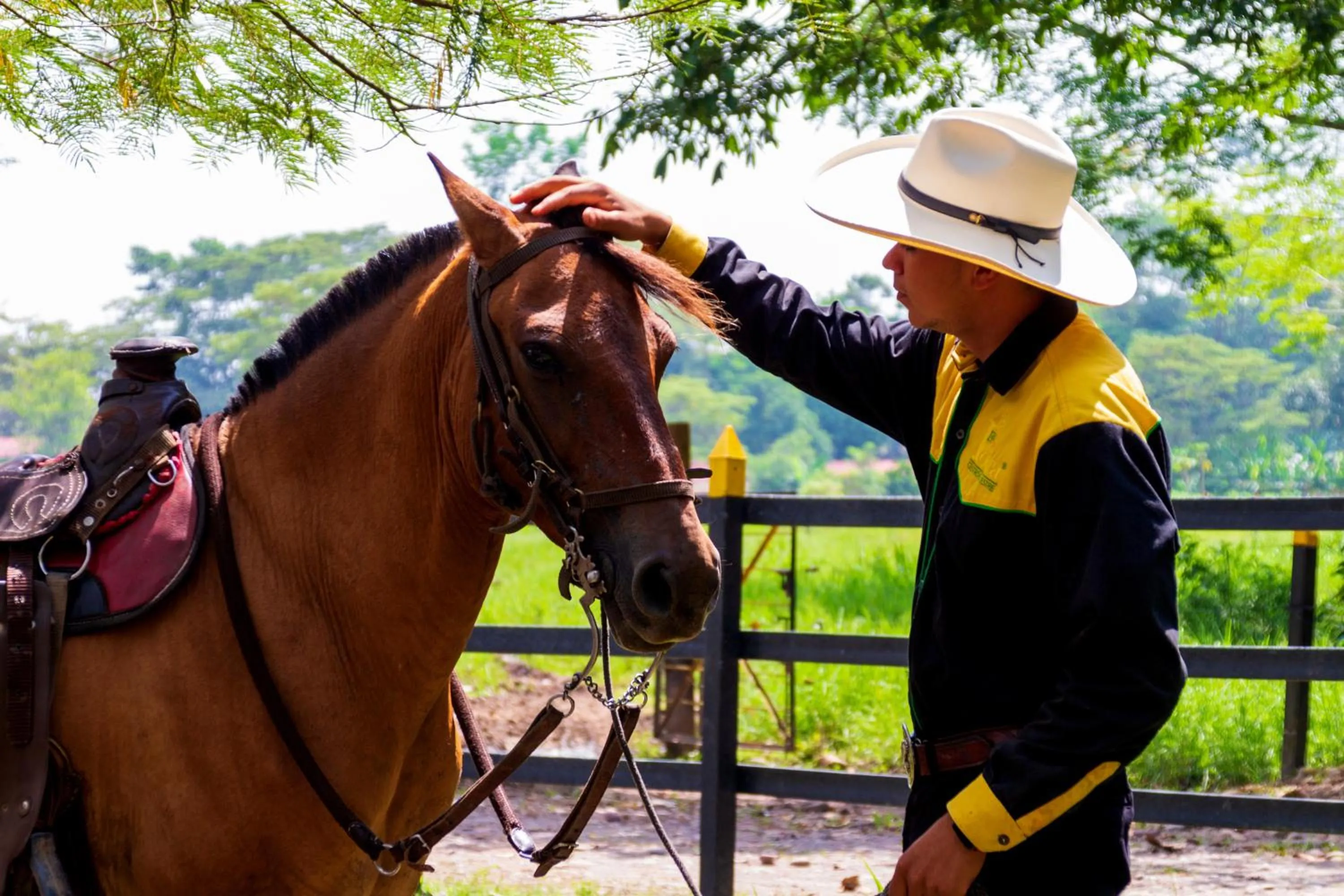 Off site in Hotel Campestre La Potra