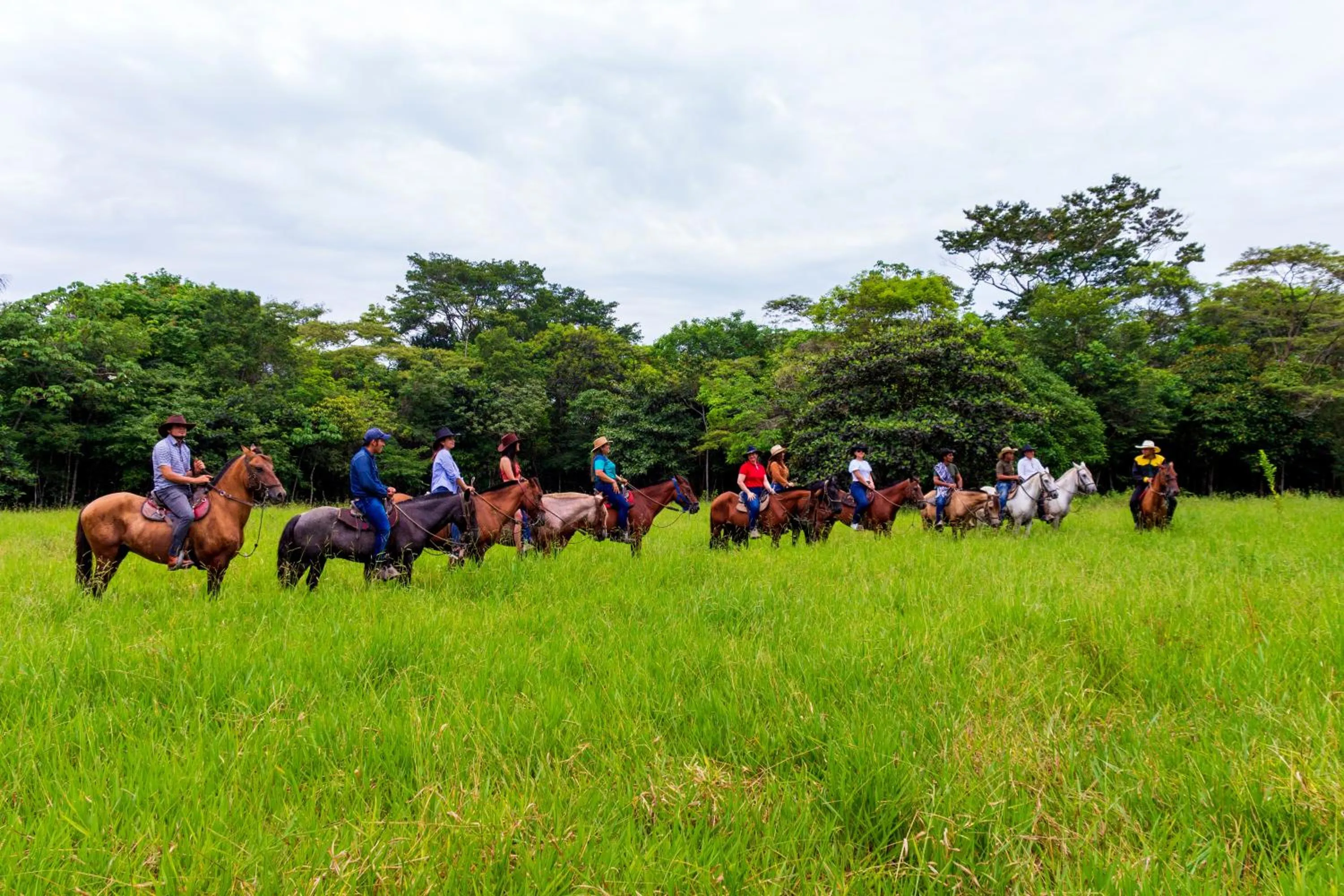Animals in Hotel Campestre La Potra