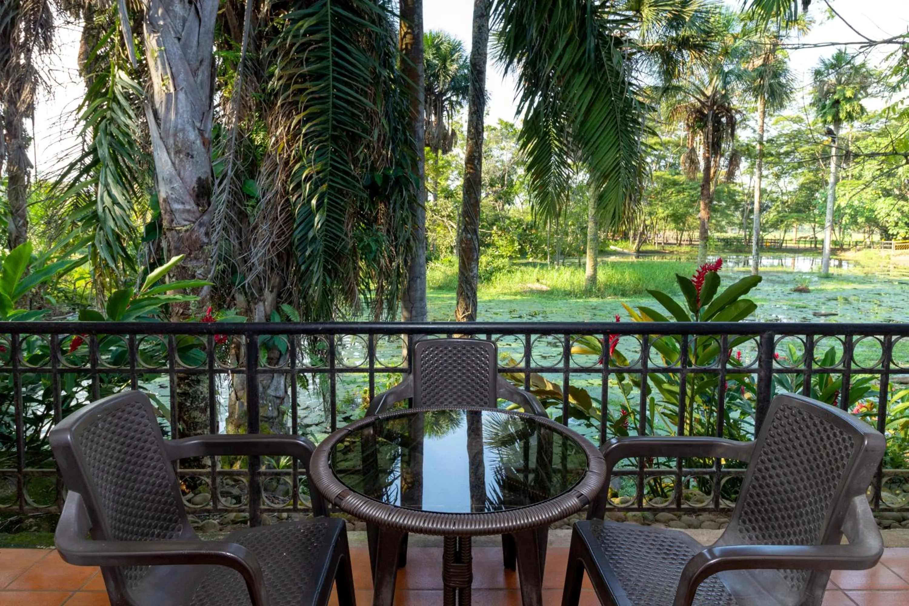 Balcony/Terrace in Hotel Campestre La Potra
