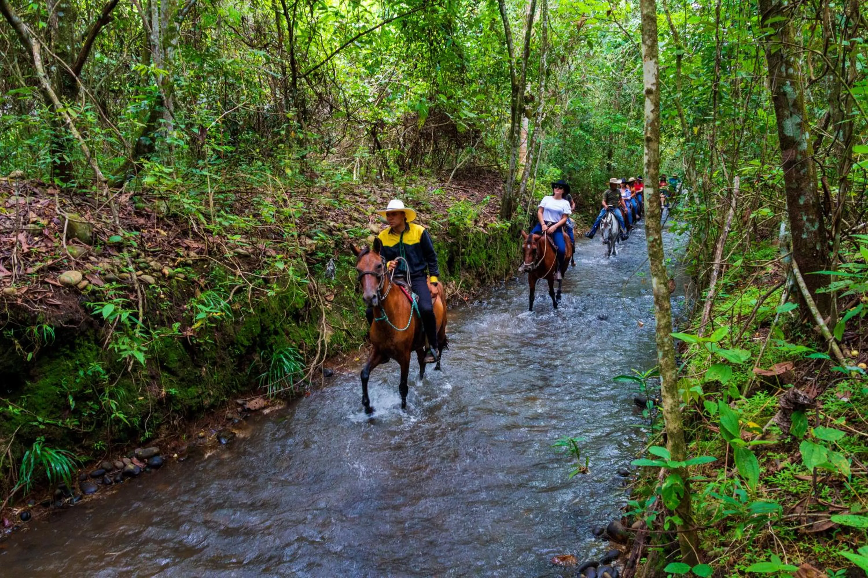 Natural landscape in Hotel Campestre La Potra