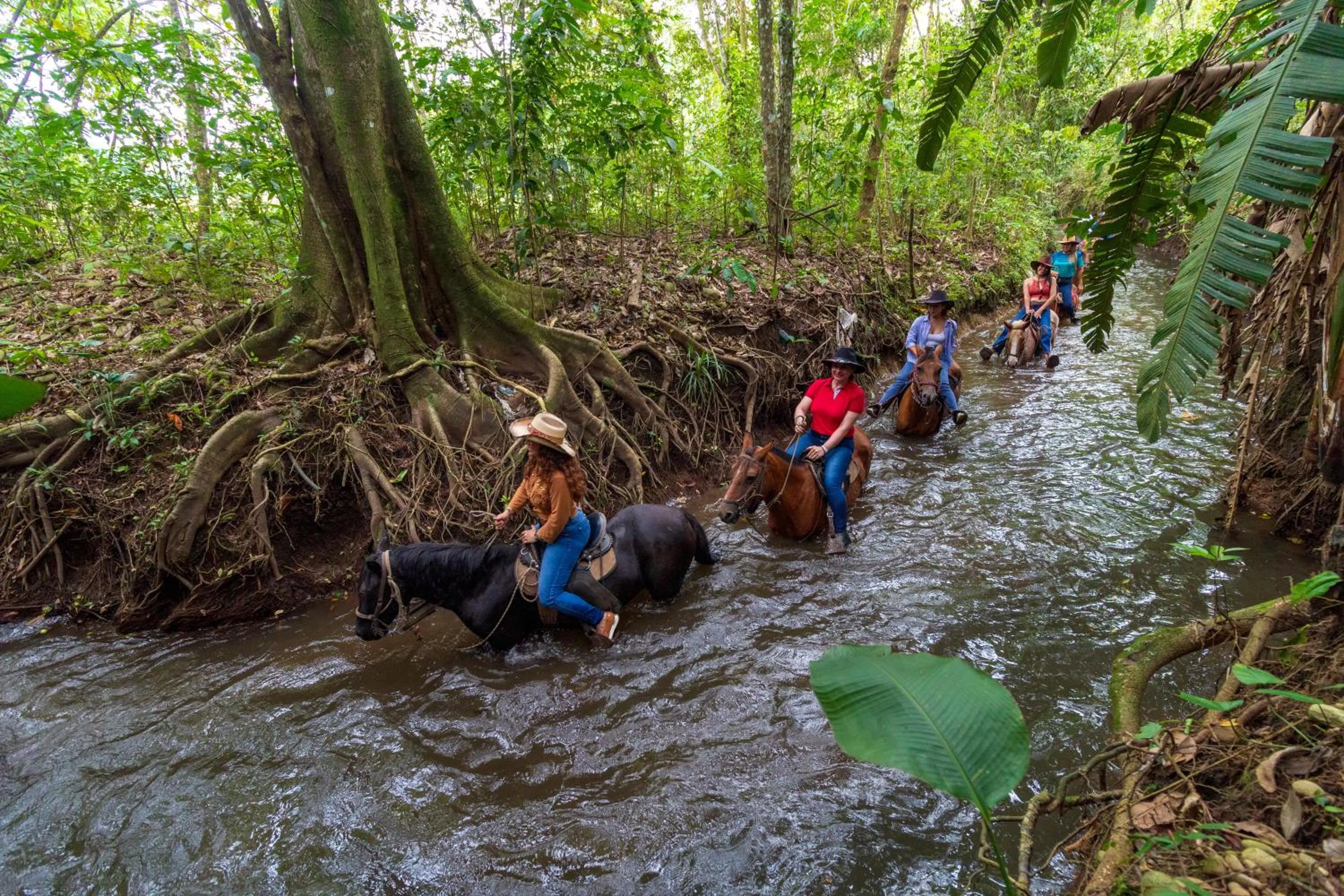Natural landscape in Hotel Campestre La Potra