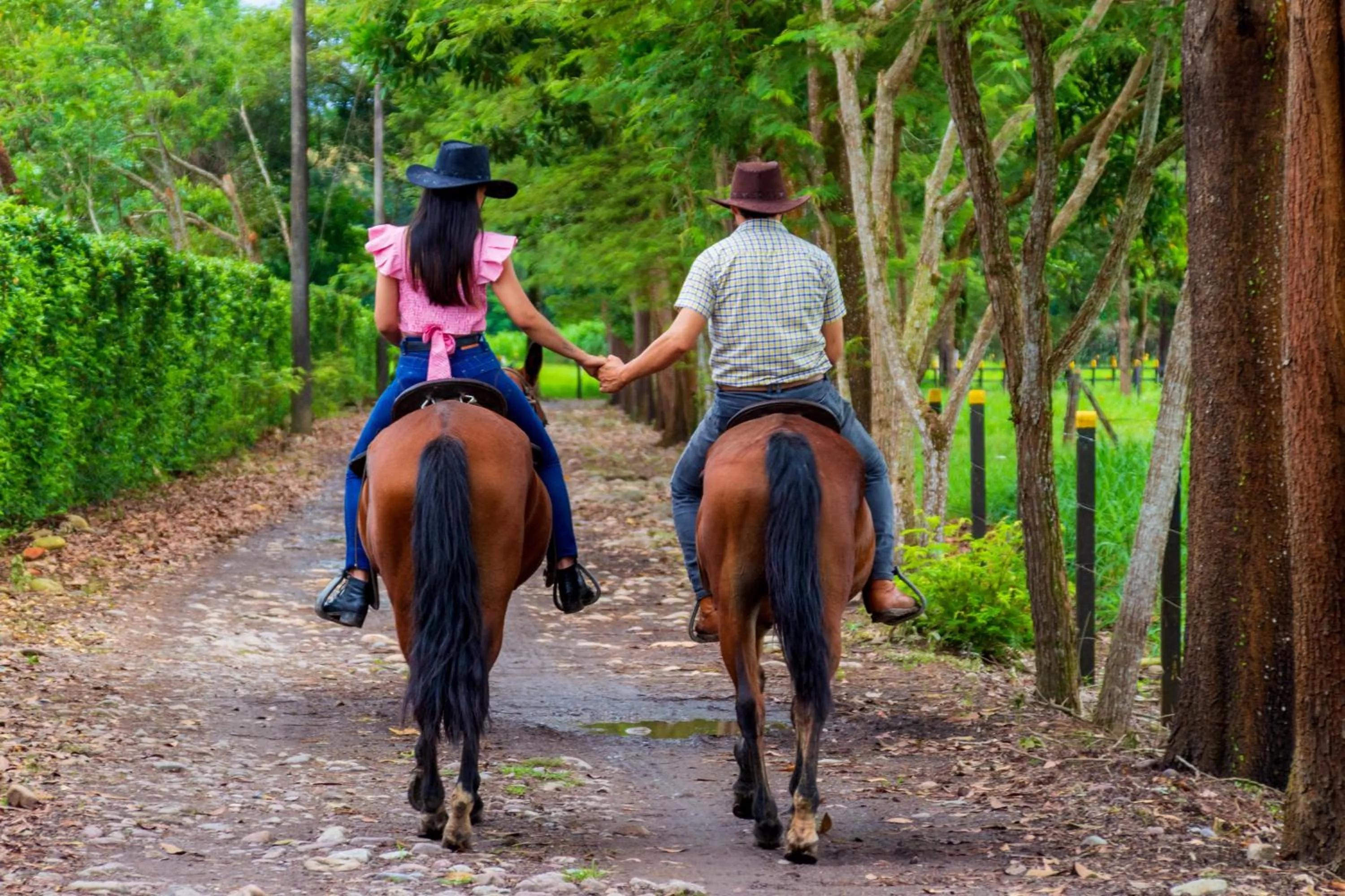 Off site in Hotel Campestre La Potra