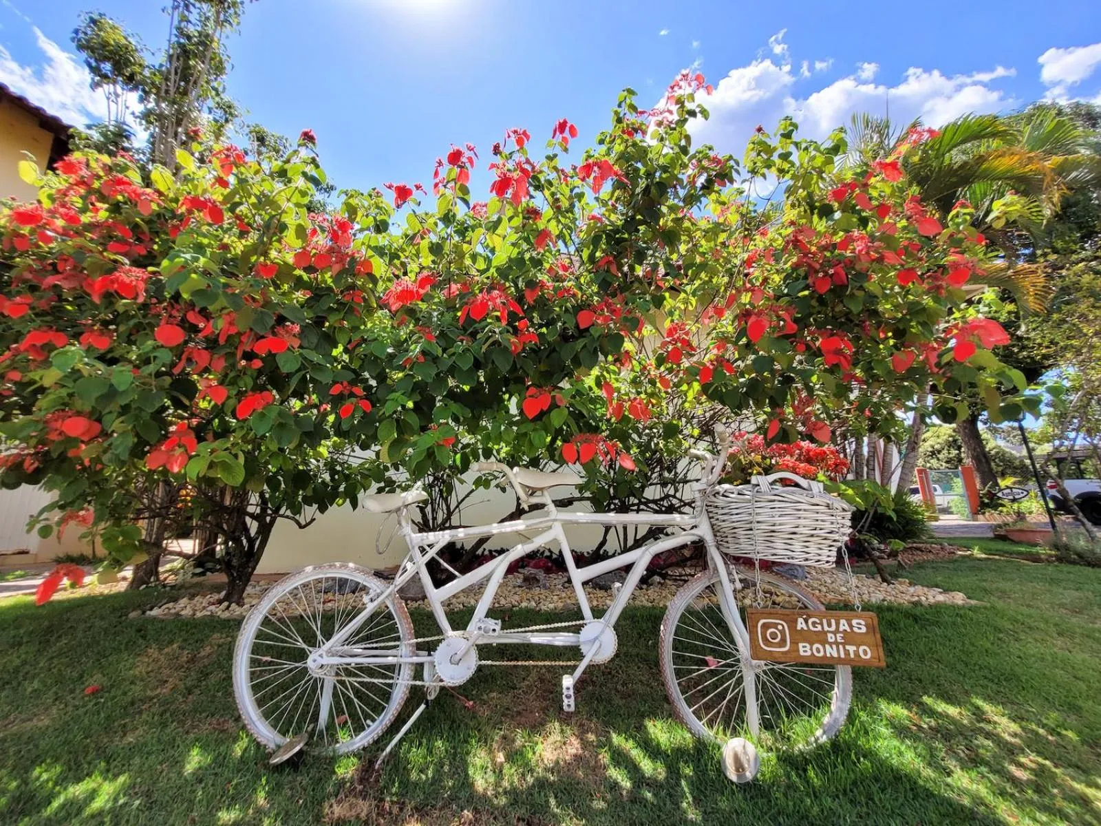 Garden in Hotel Pousada Águas de Bonito