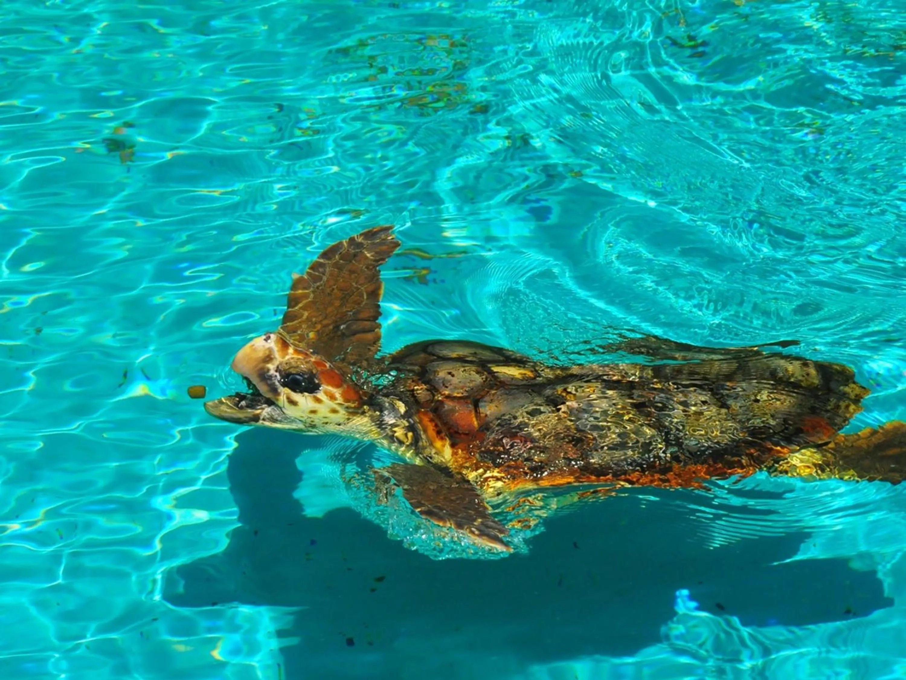 Nearby landmark in momijigawa onsen