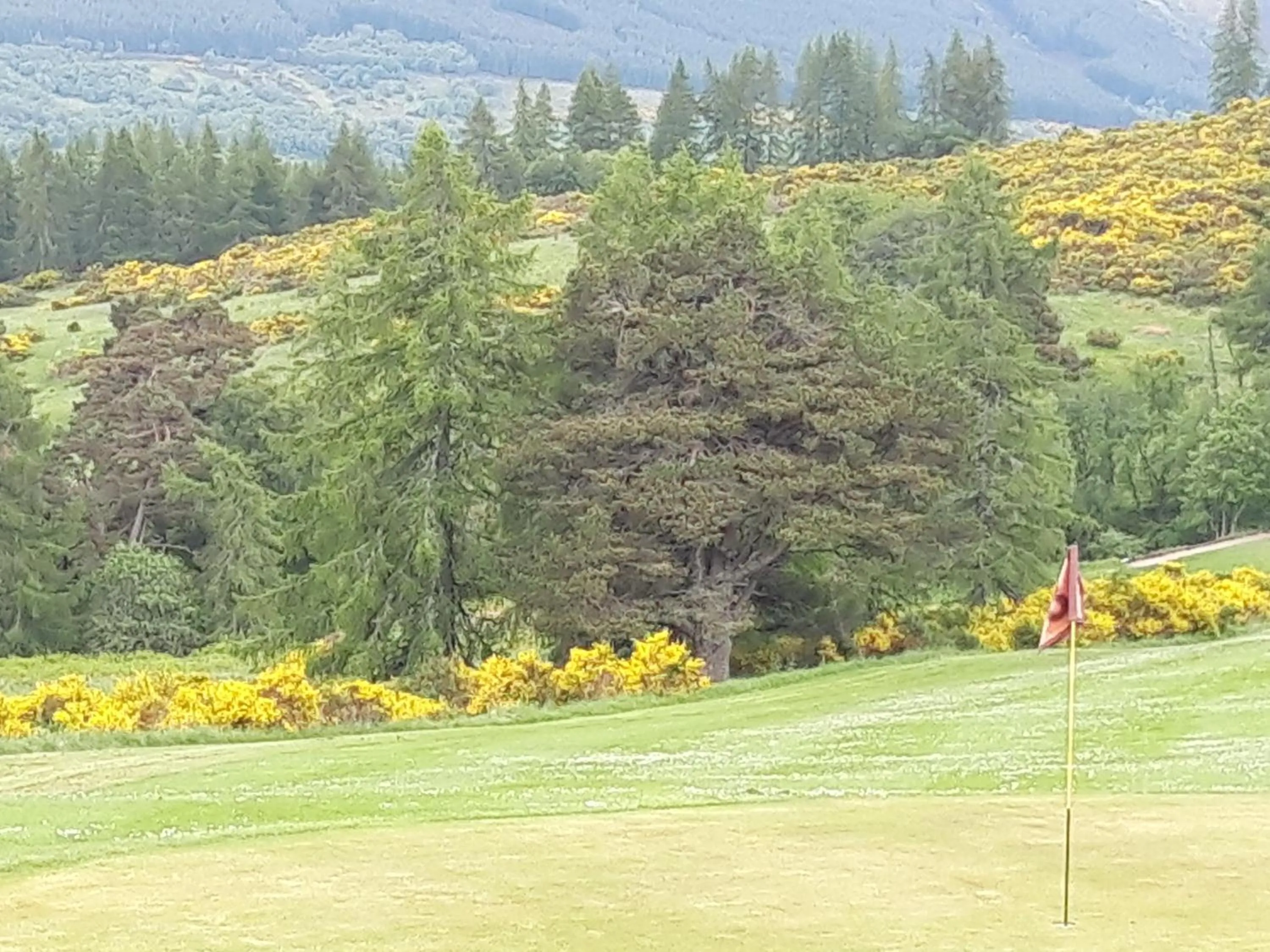 Golfcourse in Gowanbrae