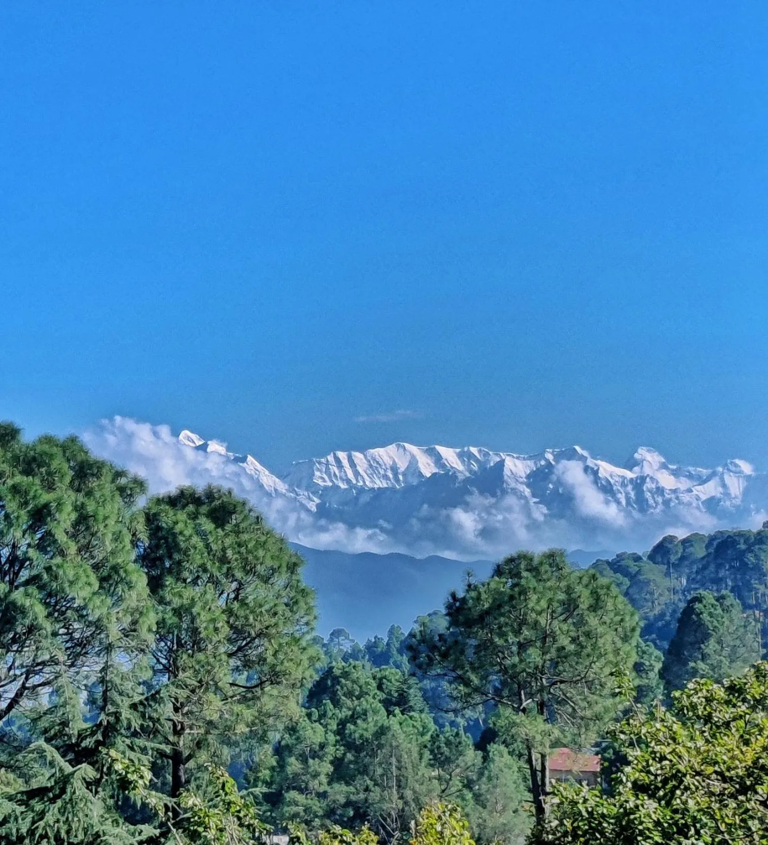 Mountain view in Majkhali Woods, Ranikhet, By Himalayan Eco Lodges