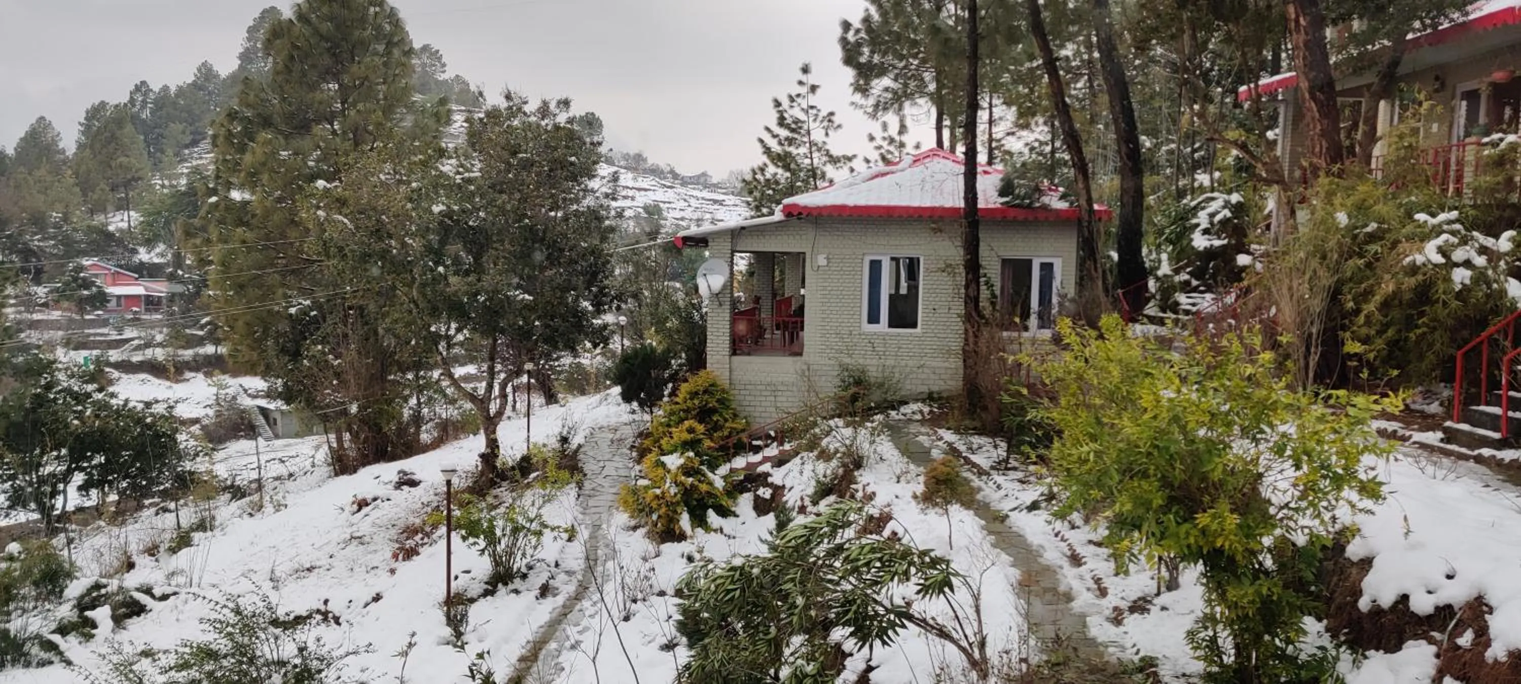 Winter in Majkhali Woods, Ranikhet, By Himalayan Eco Lodges