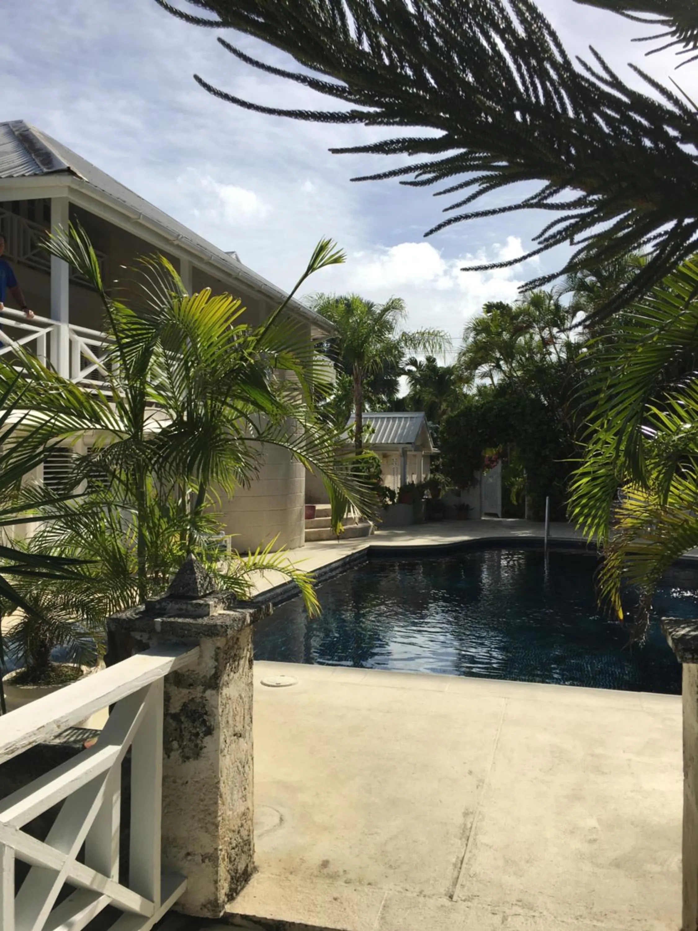 Swimming pool in Tantalus Villa