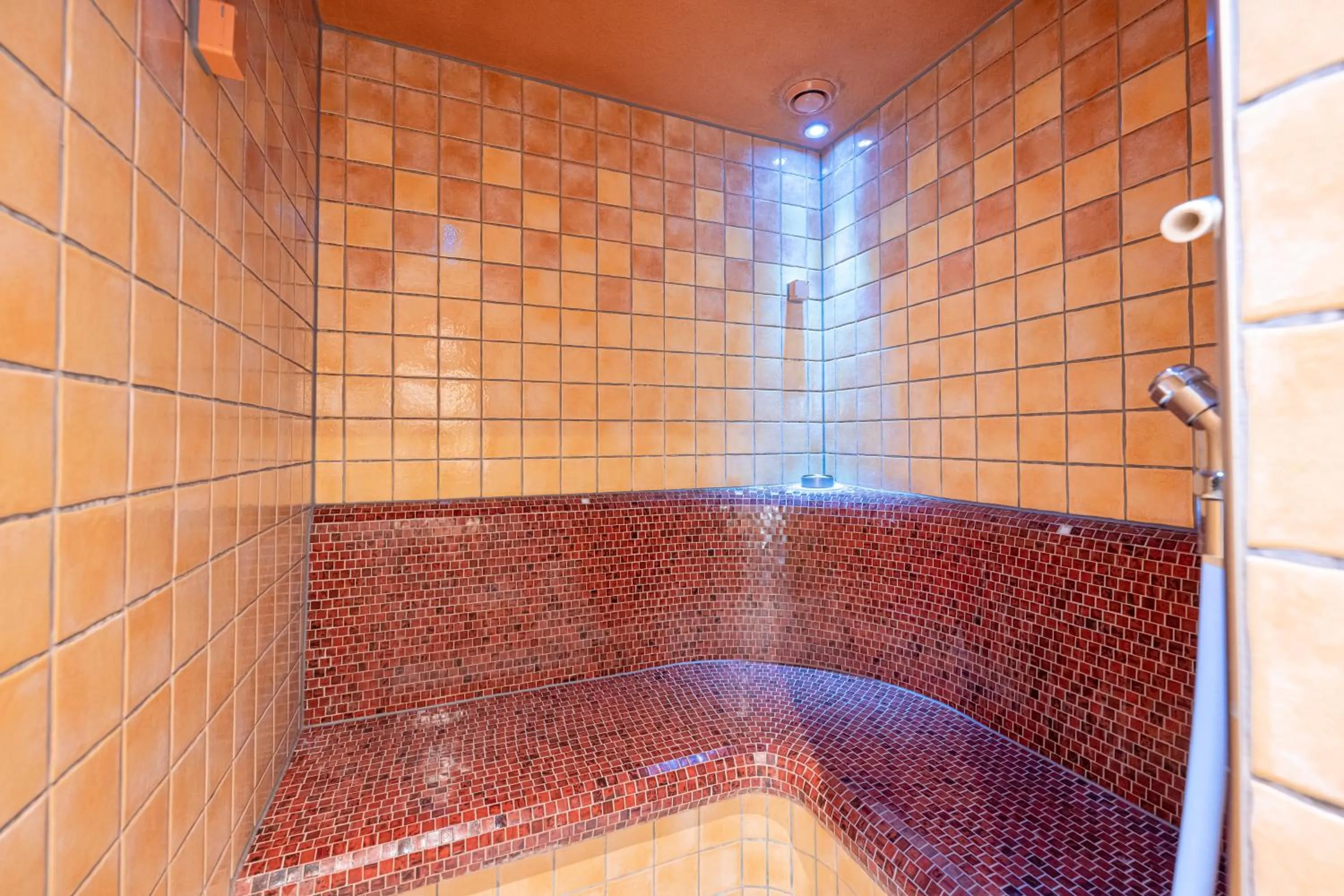 Steam room in Hotel Neuwirt