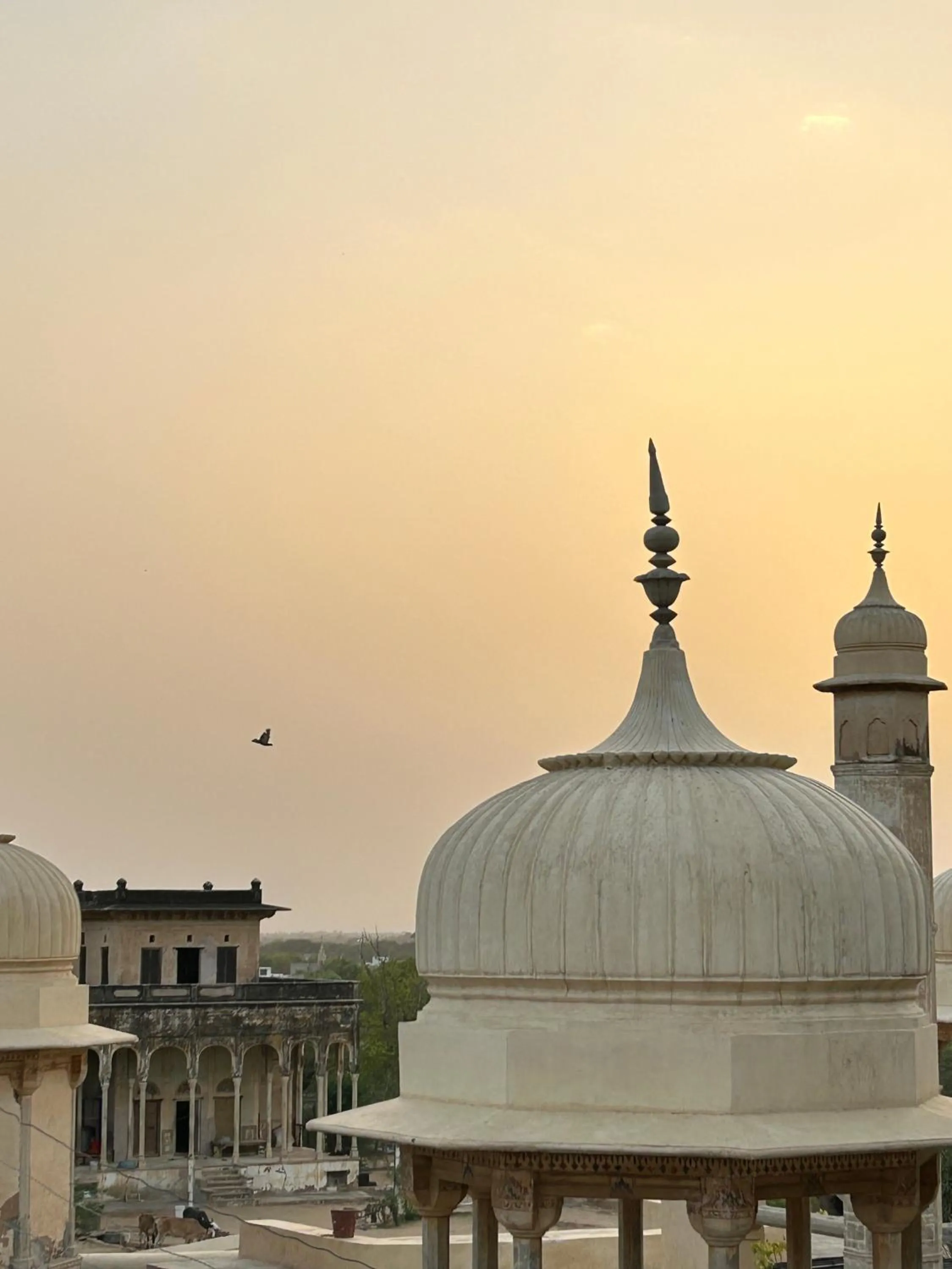 Mandawa Kothi