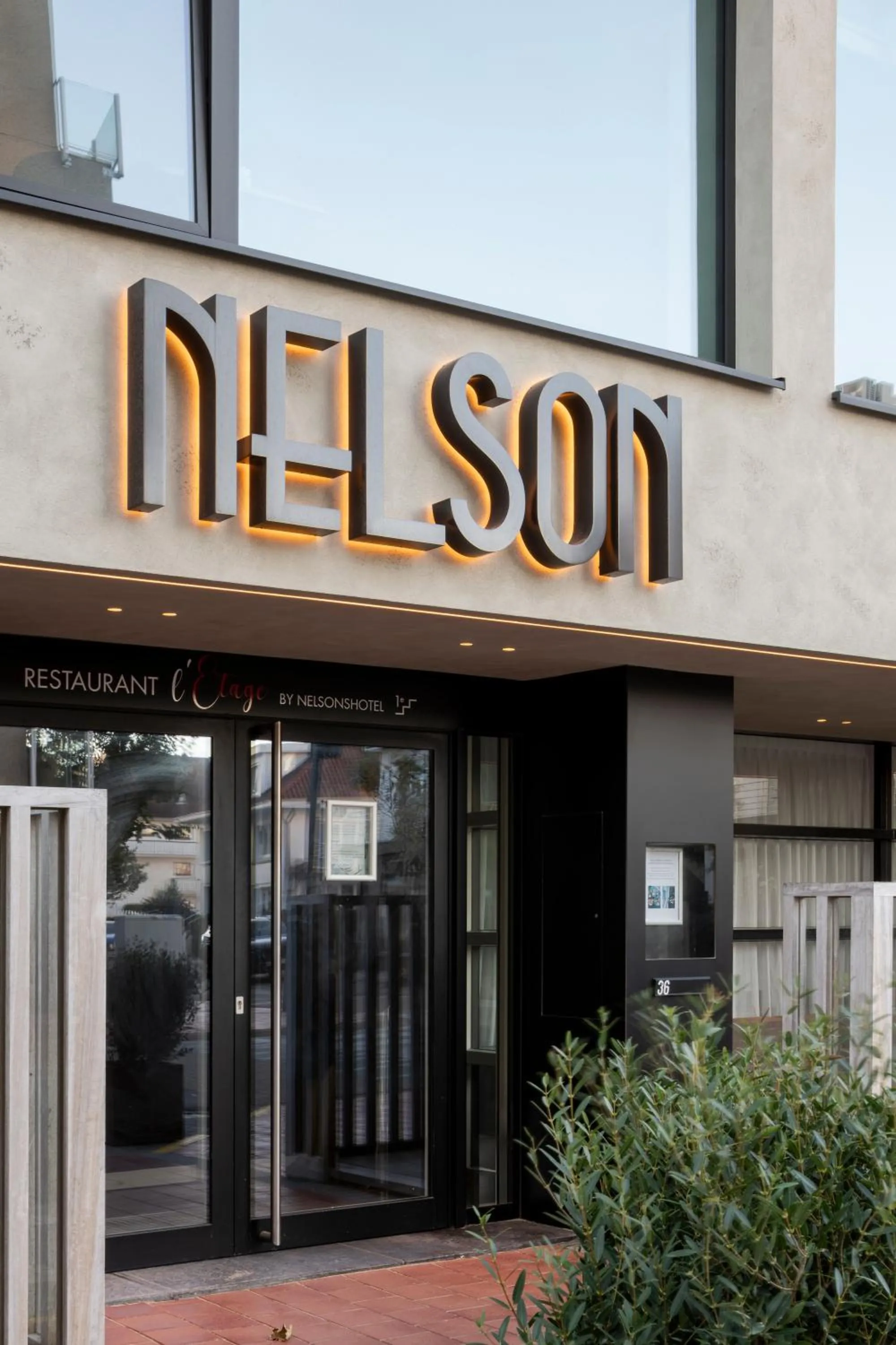 Hotel Nelson