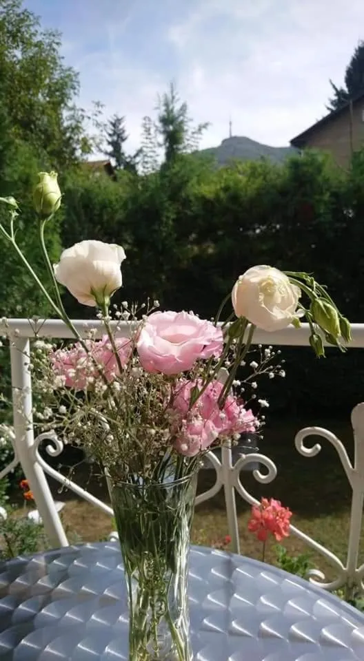 Park Hotel Amfora -Free Parking