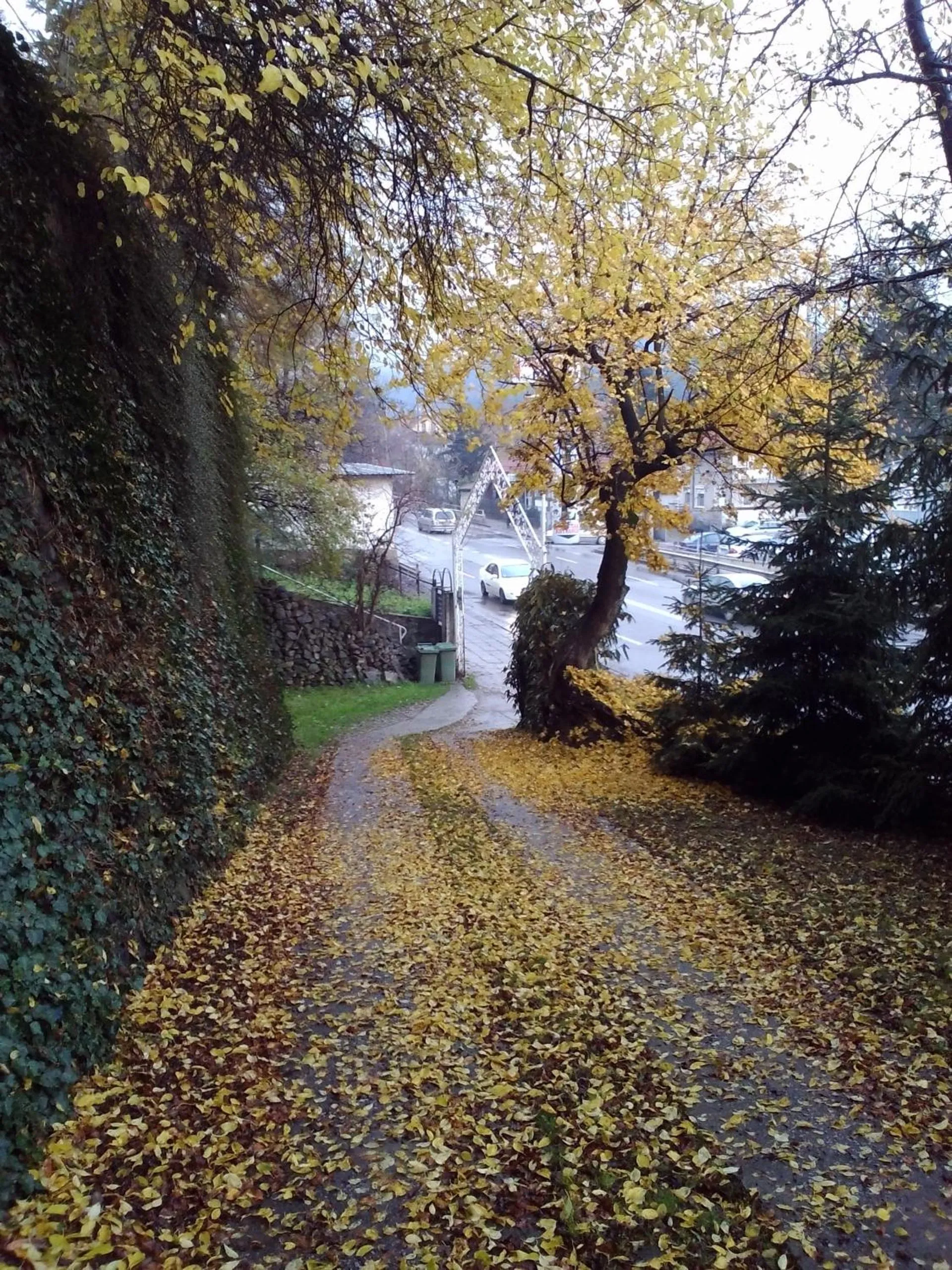 Day in Park Hotel Amfora -Free Parking