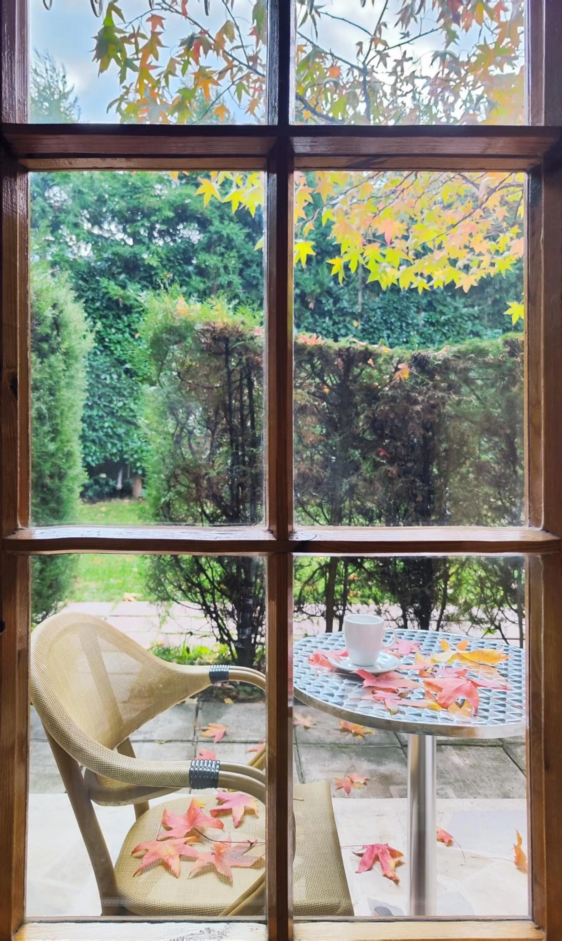 Park Hotel Amfora -Free Parking