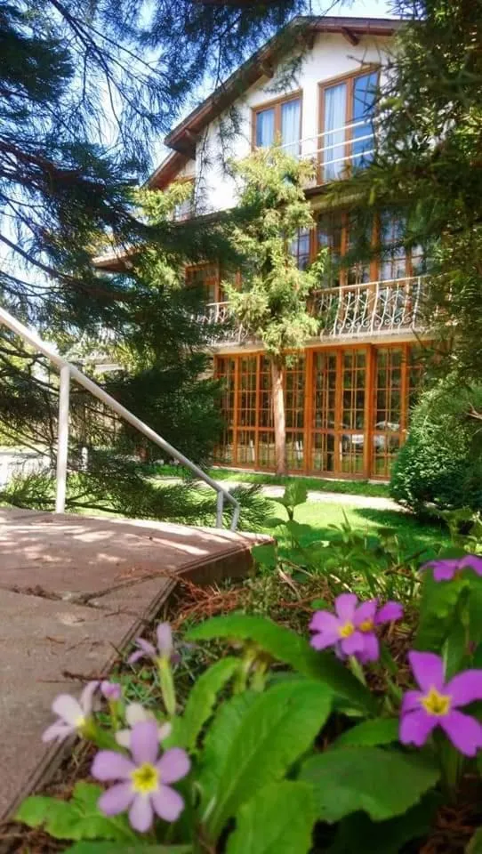 Park Hotel Amfora -Free Parking