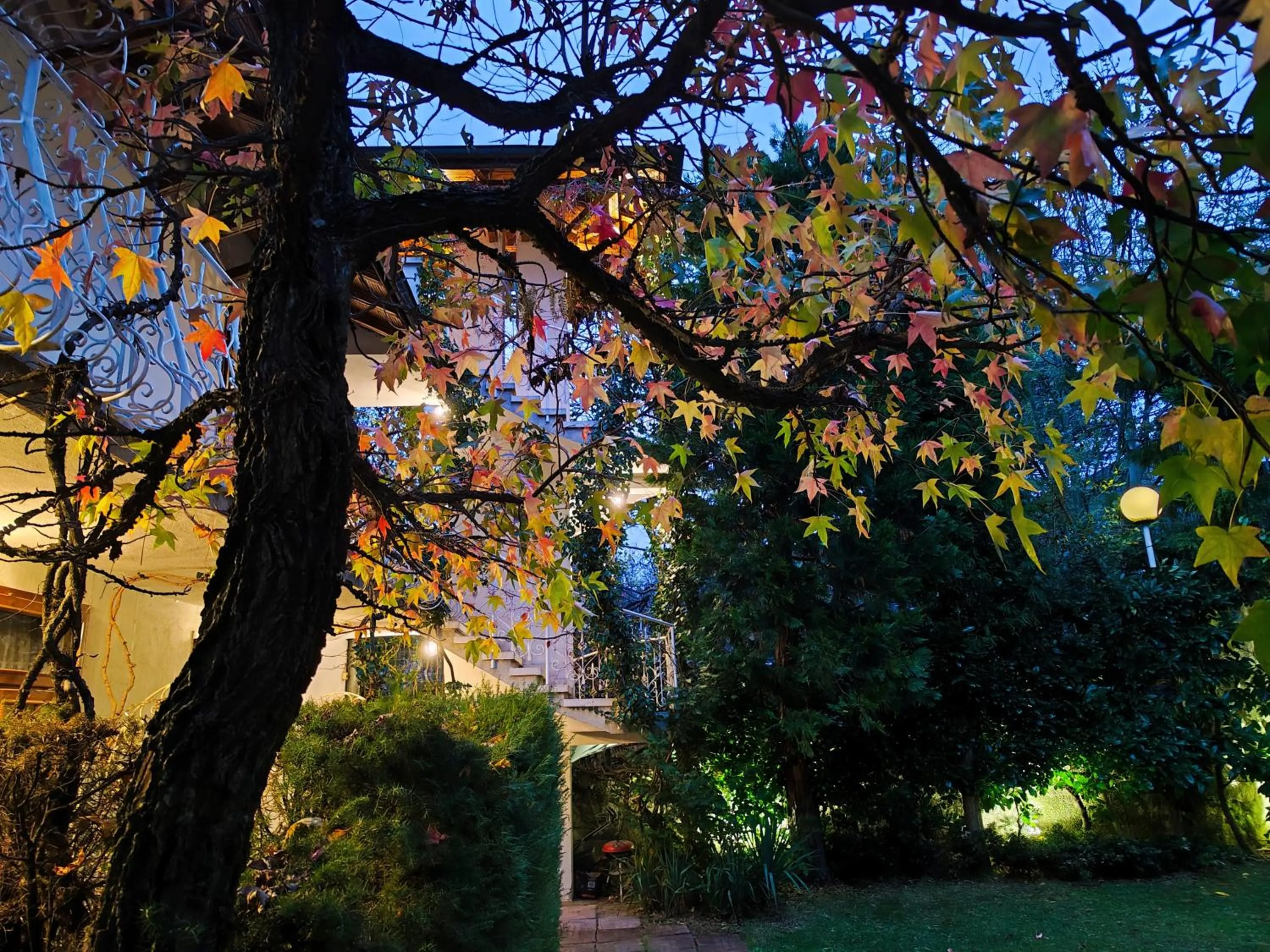 Park Hotel Amfora -Free Parking