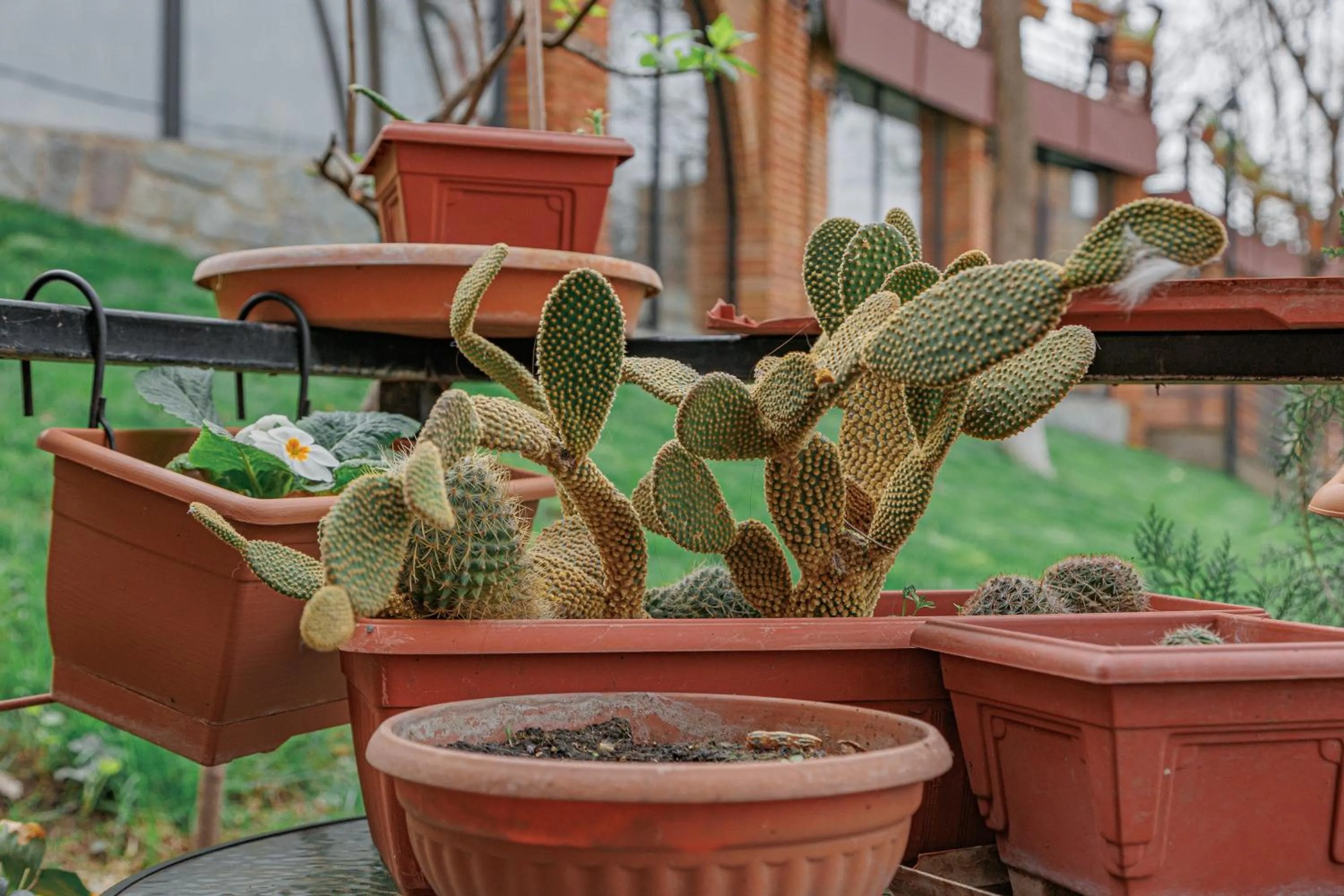 Property building in Piano Borracho Boutique Hotel Old Tbilisi