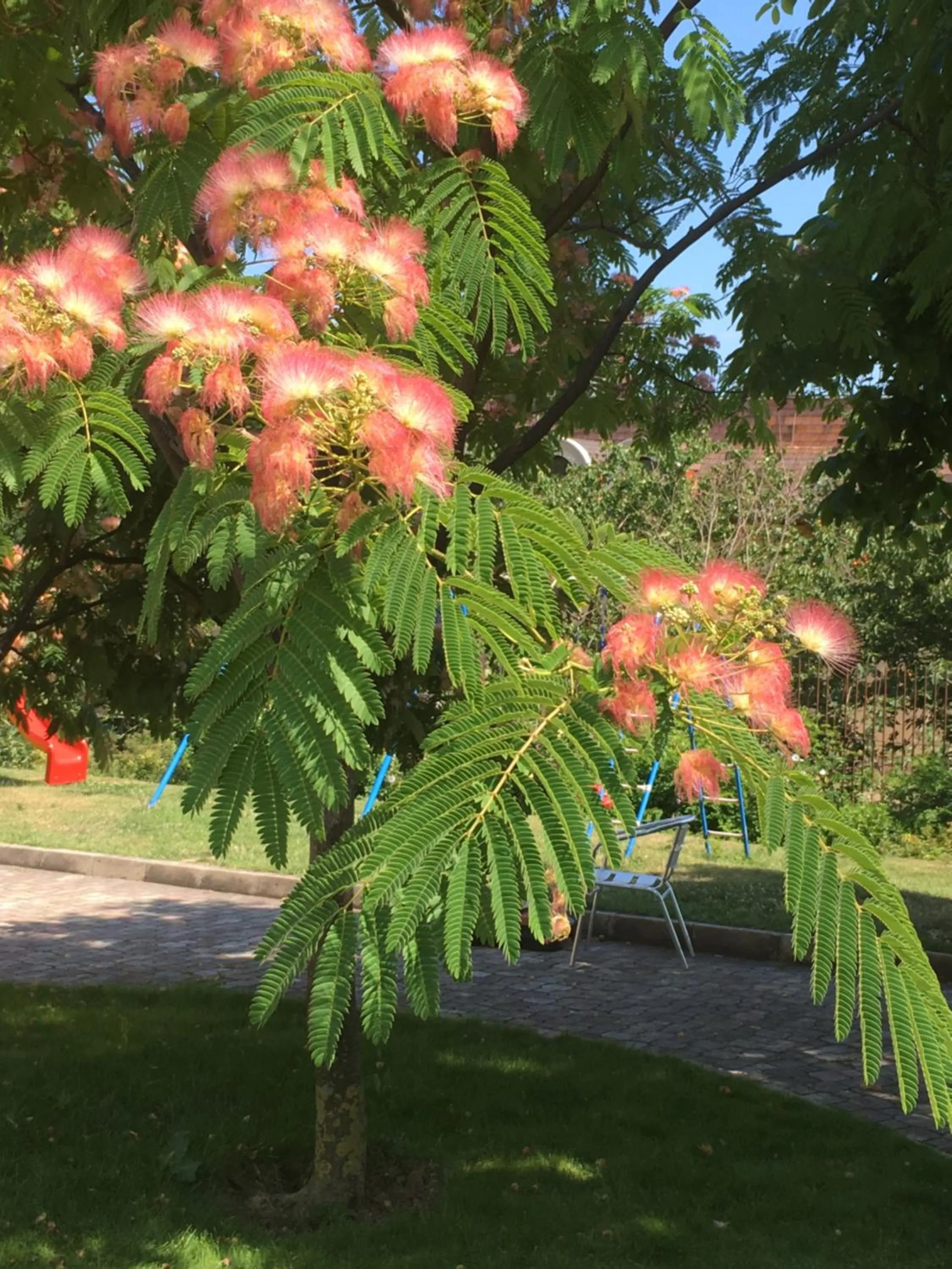 Garden in Sea Park Homes Neshkov