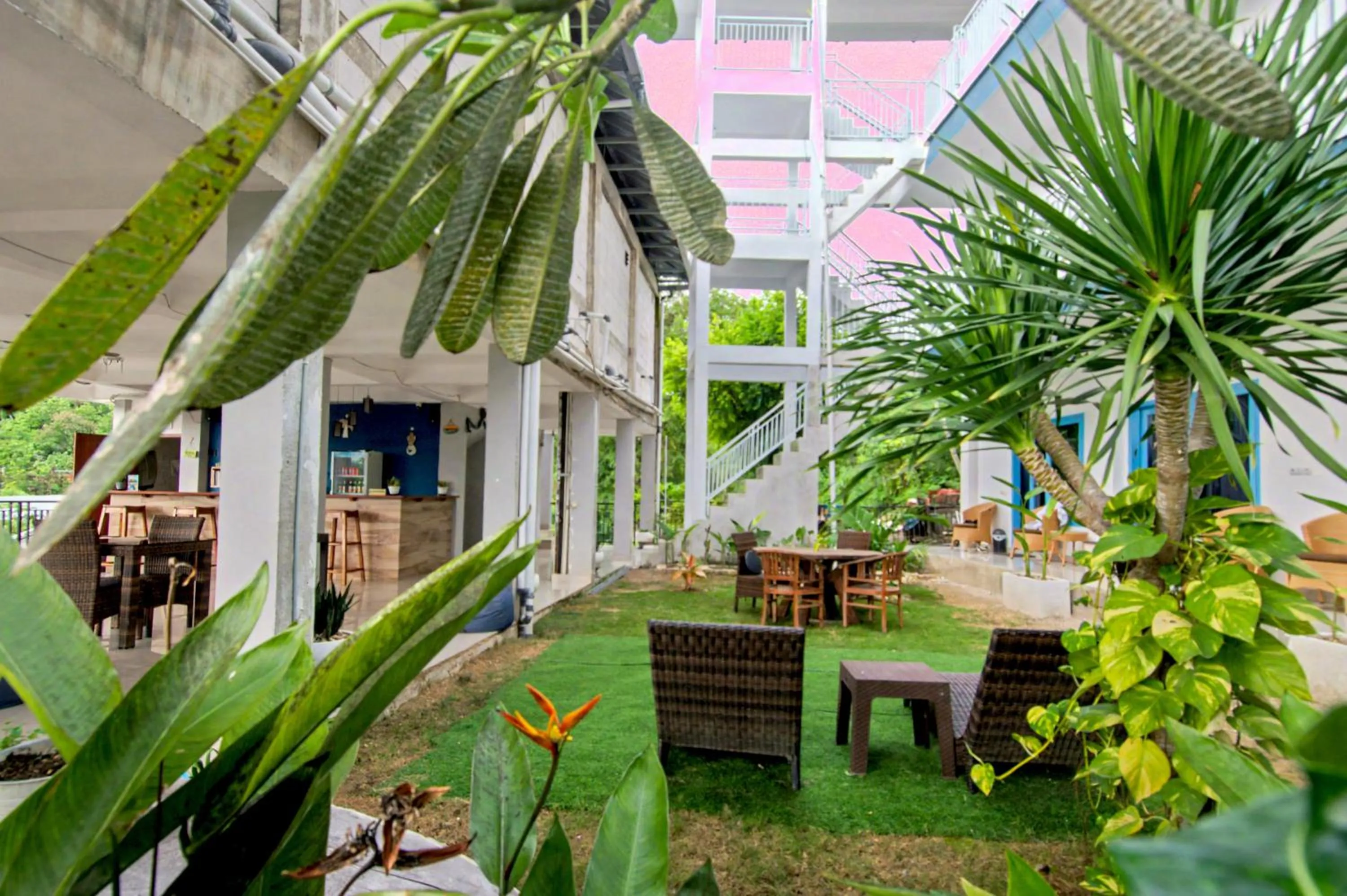 Garden in Hotel Bonne Nuit