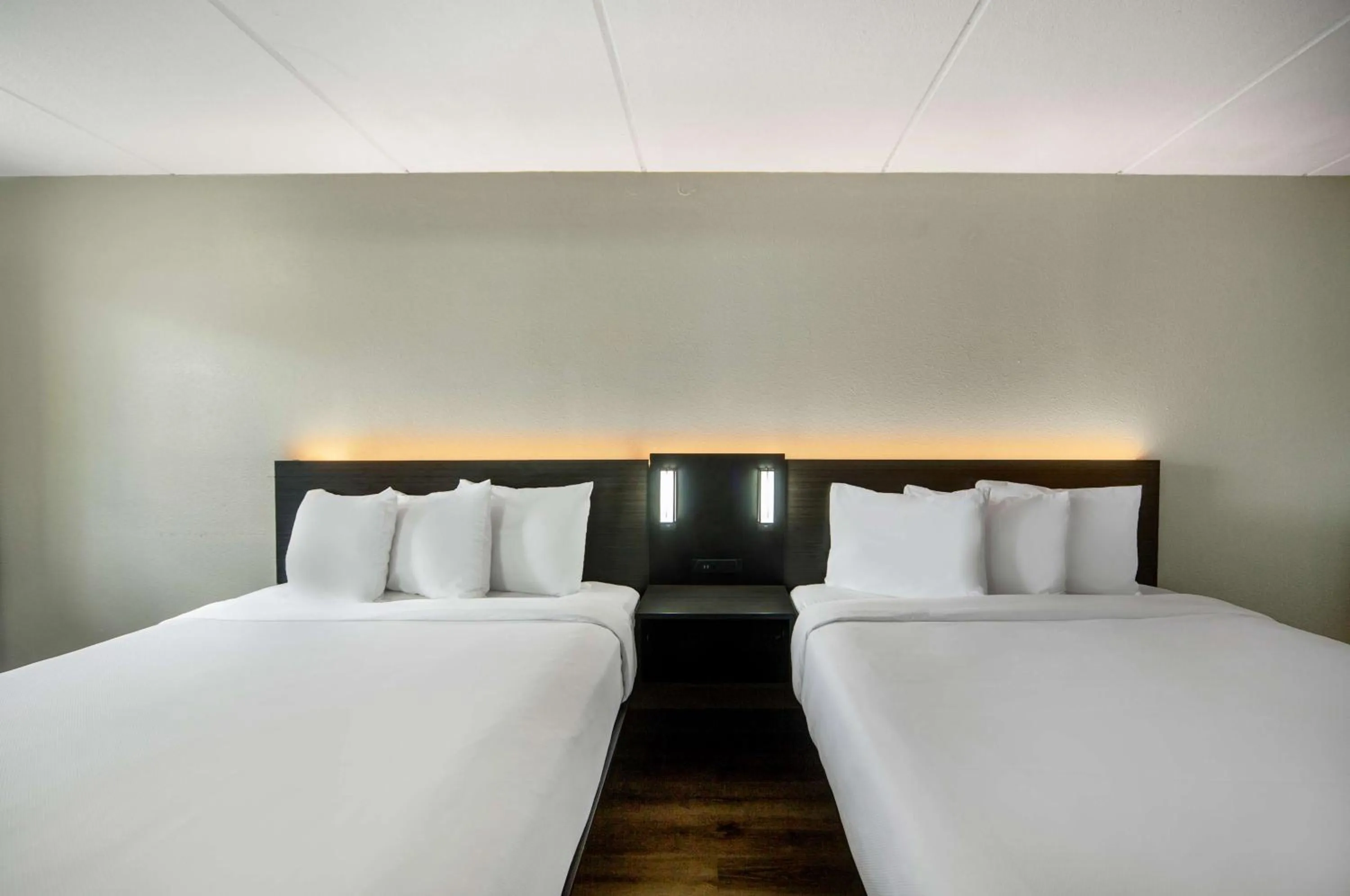 Bedroom, Bed in Motel 6 San Antonio, TX I-35 North Corridor