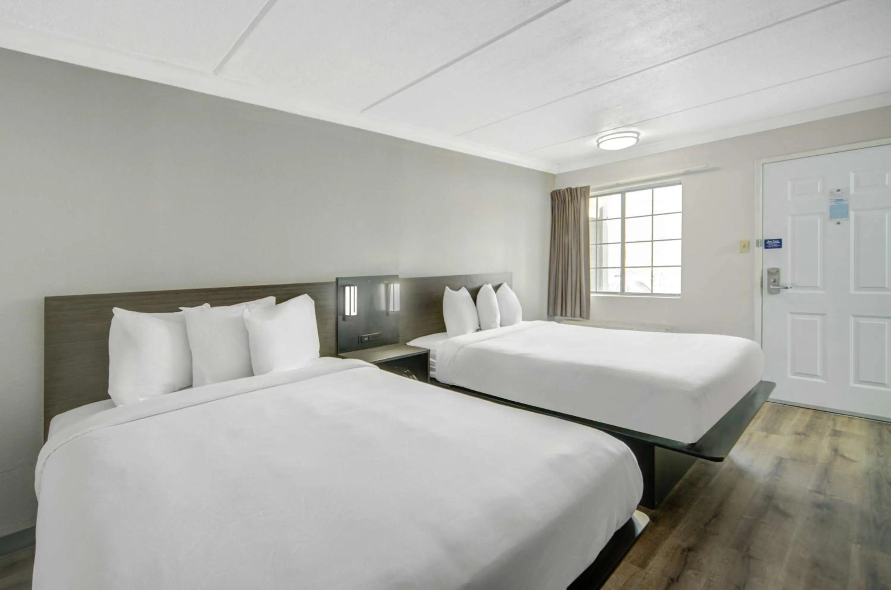 Bedroom, Bed in Motel 6 San Antonio, TX I-35 North Corridor