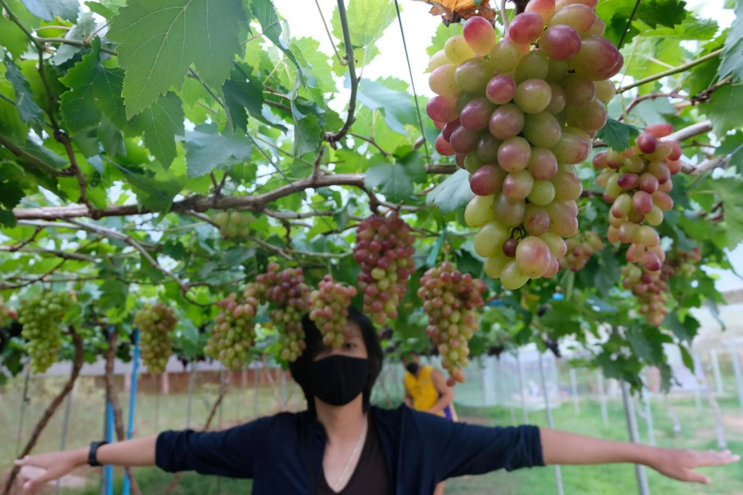 The Simple Koh Yao Noi