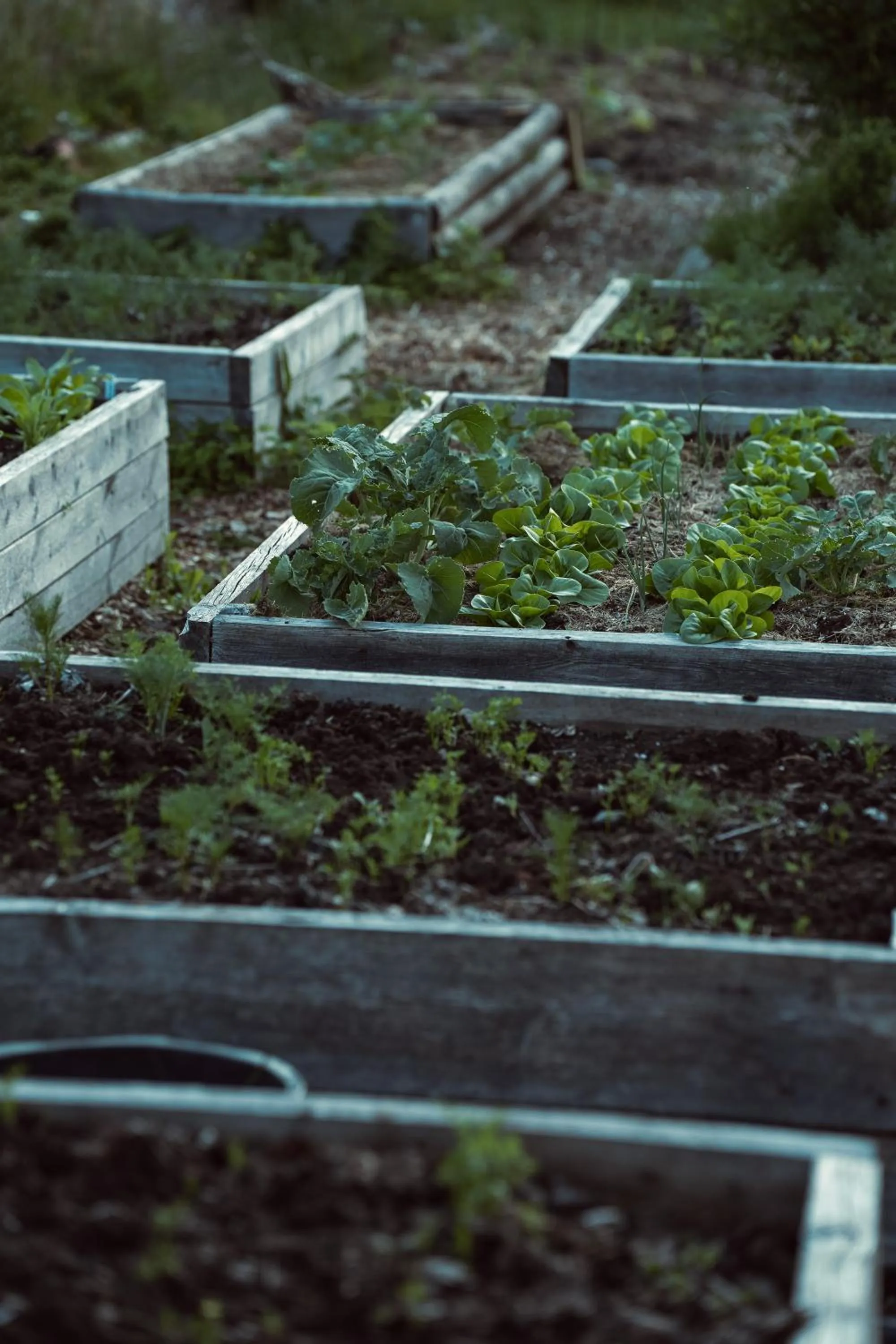 Spring in Ödevata Gårdshotell