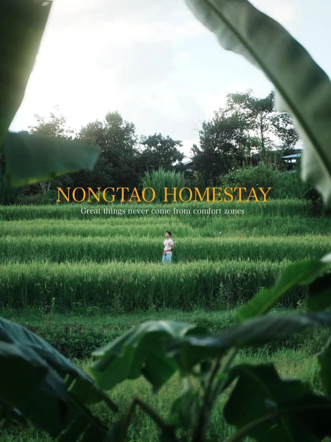 Nongtao Homestay