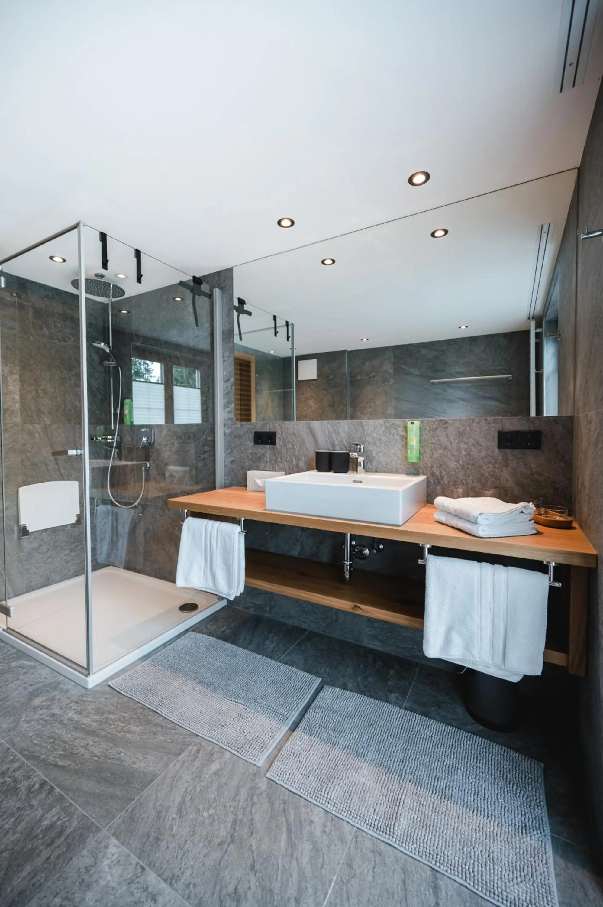 Shower in Bio-Pension Bliem