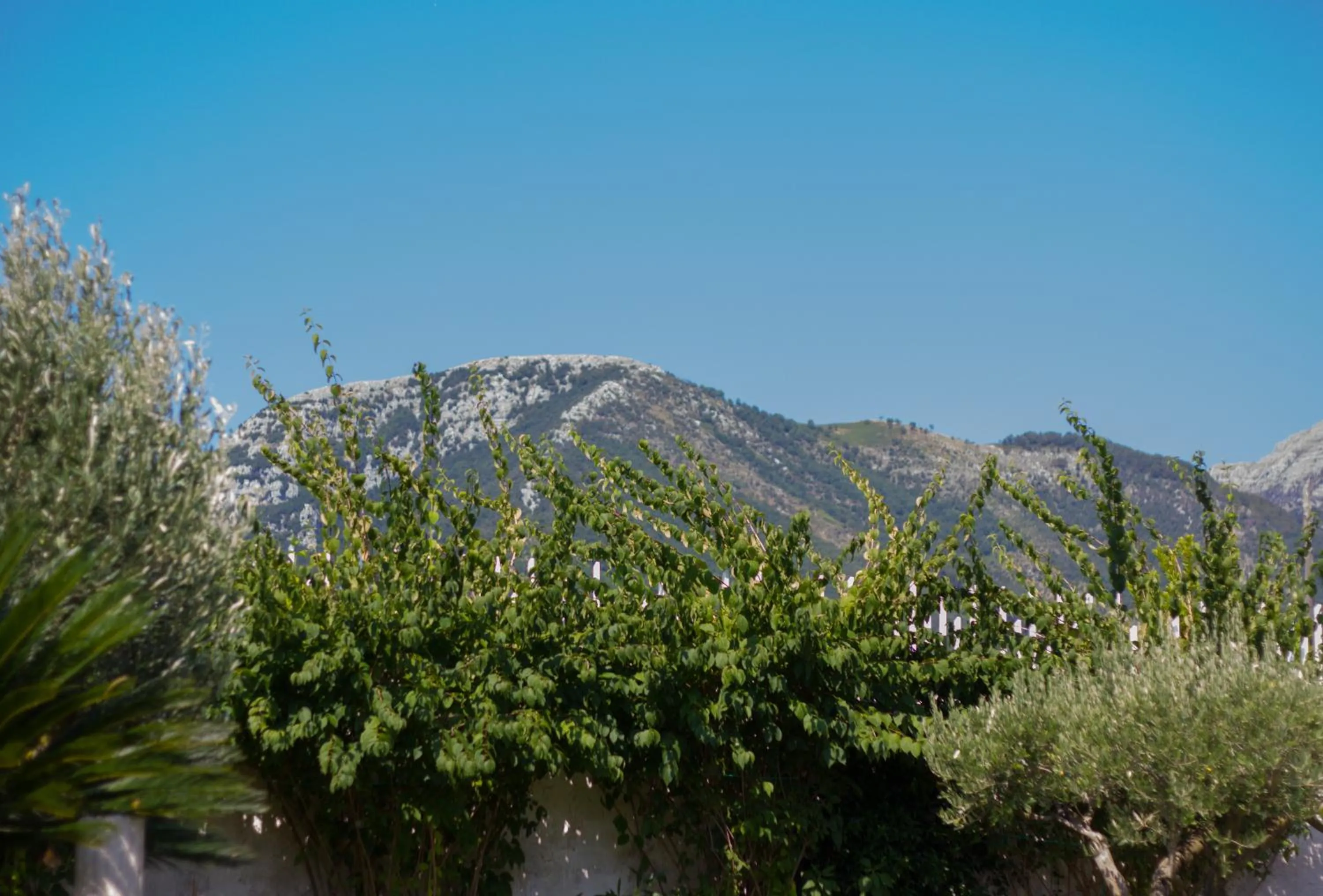 Mountain view in Villa Donna Fausta