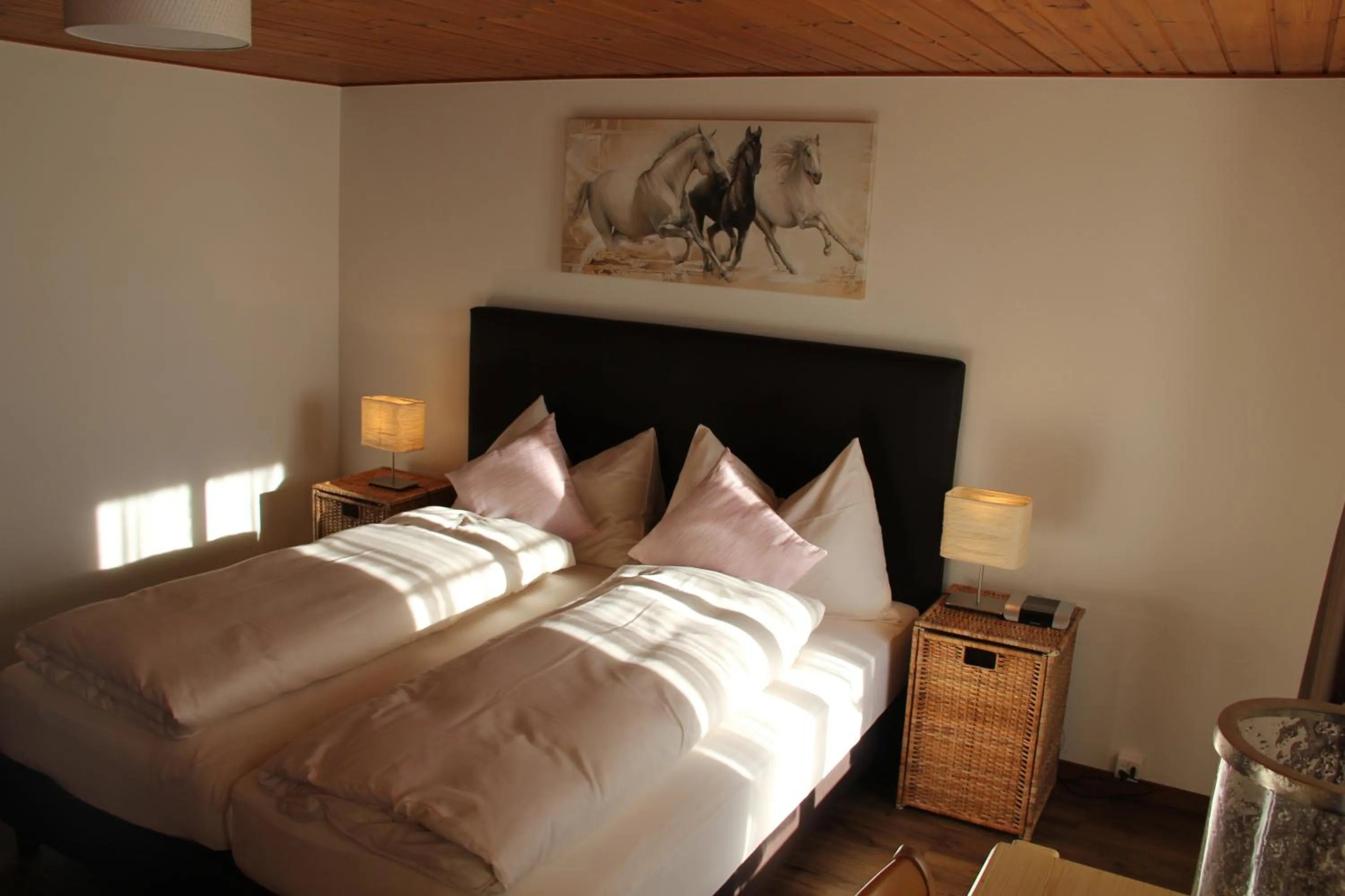 TV and multimedia, Bed in Hotel Restaurant Rössli