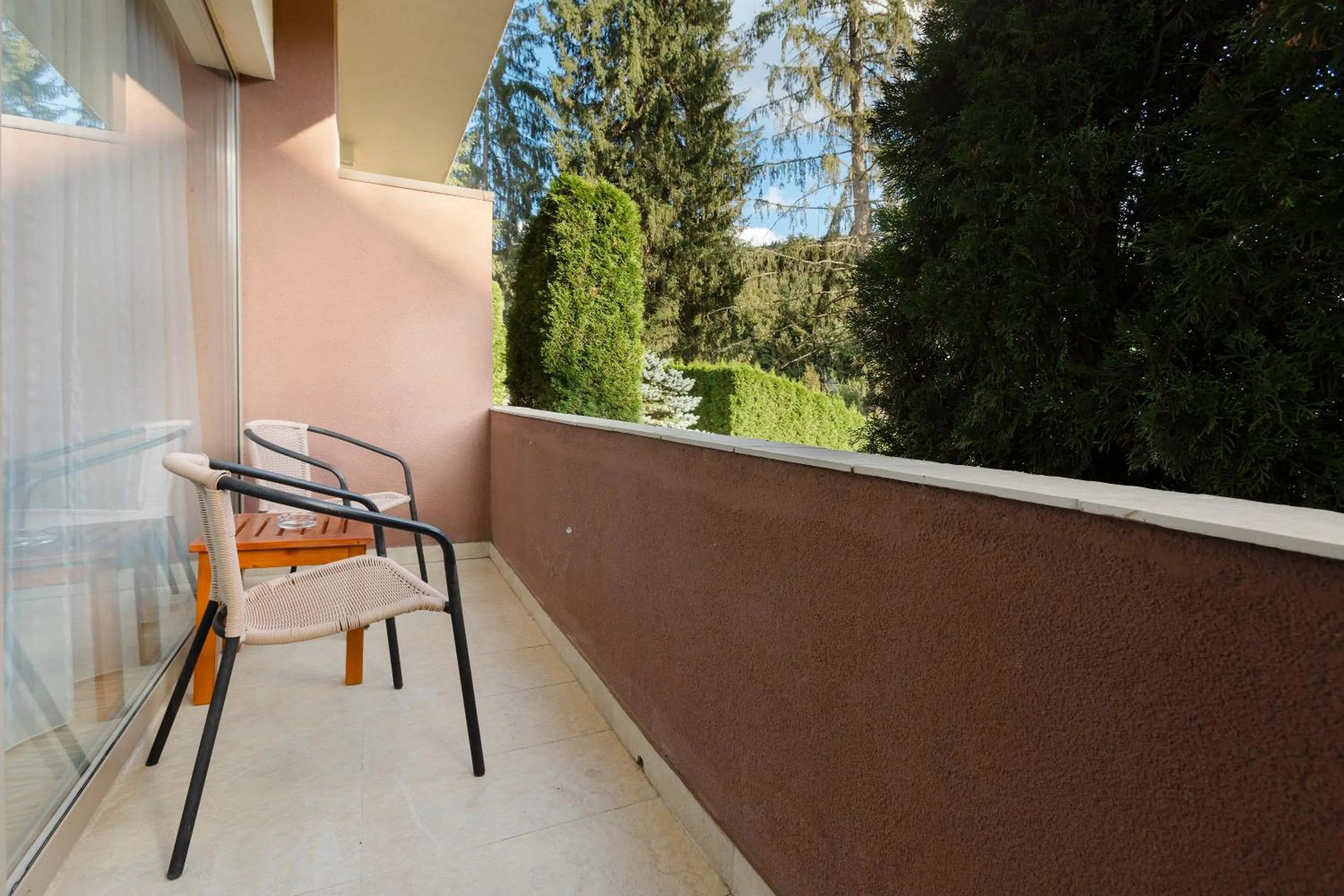 Balcony/Terrace in Hotel Clermont