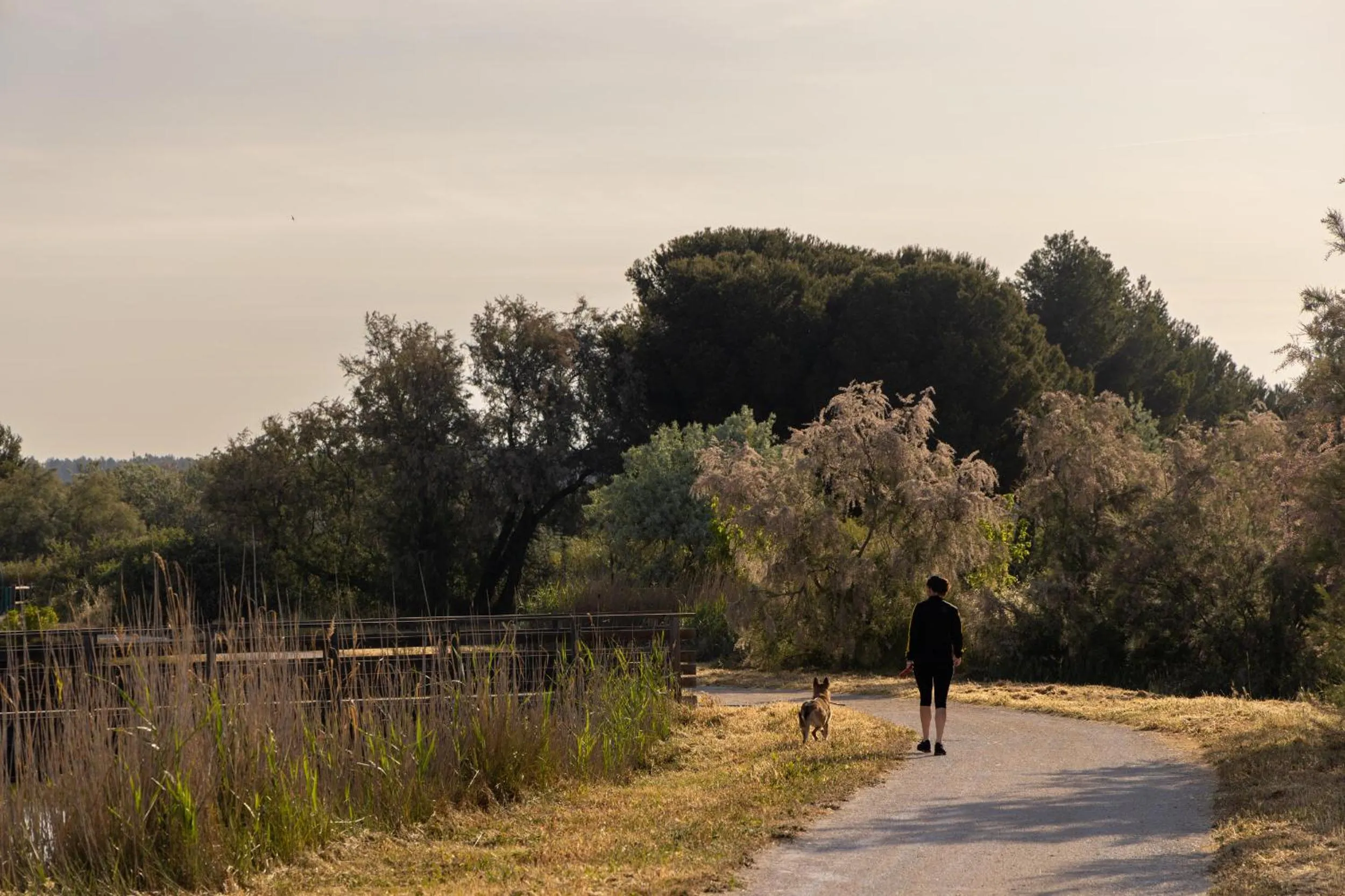 Natural landscape in The Originals City, Hôtel Azur, Fos-sur-Mer