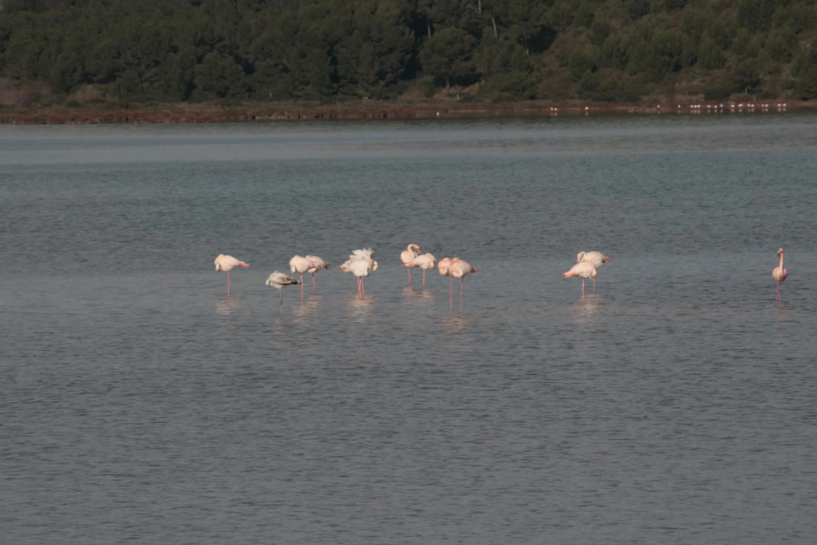 Lake view in The Originals City, Hôtel Azur, Fos-sur-Mer