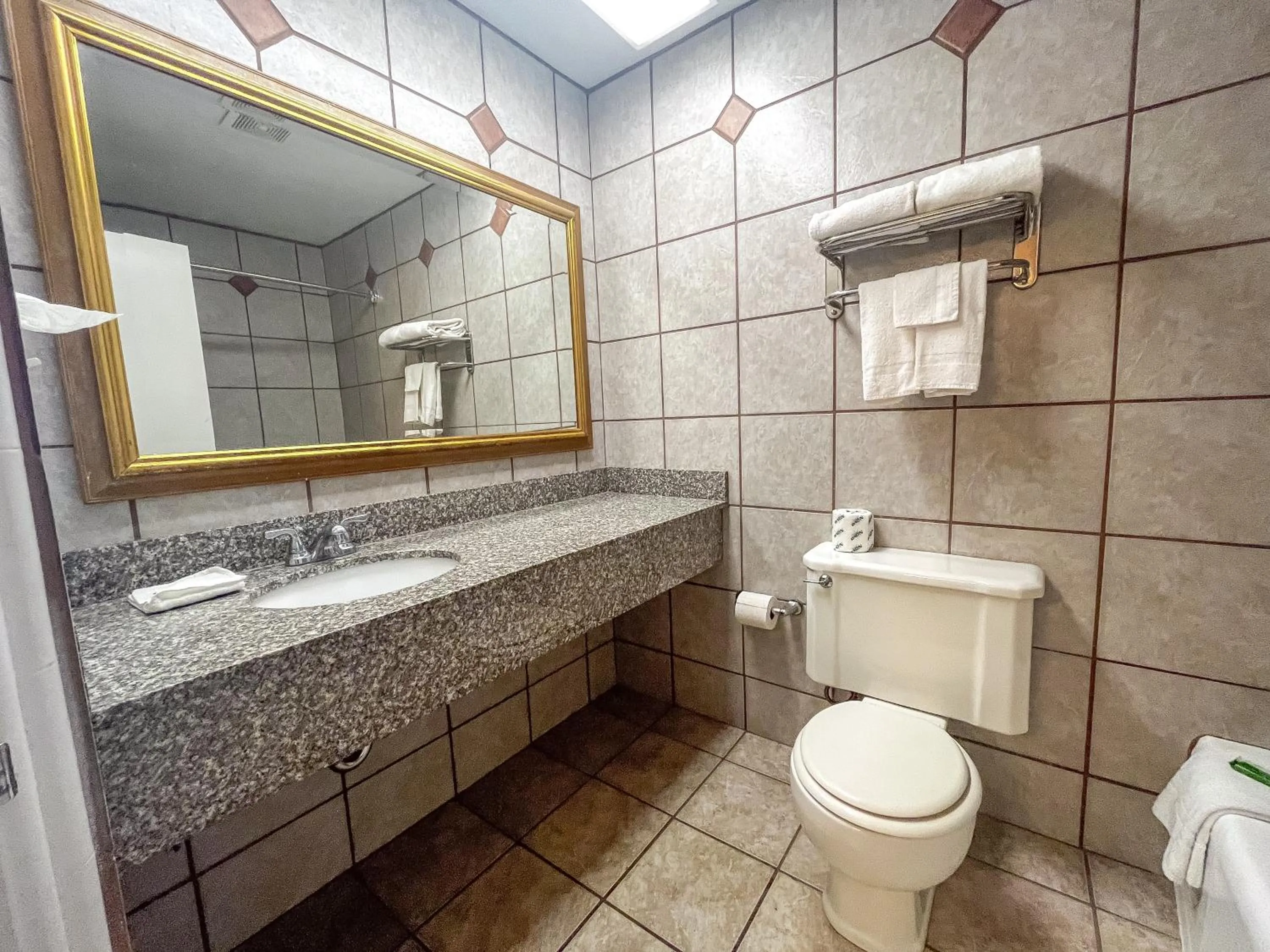 Alpine Inn & Suites Rockford