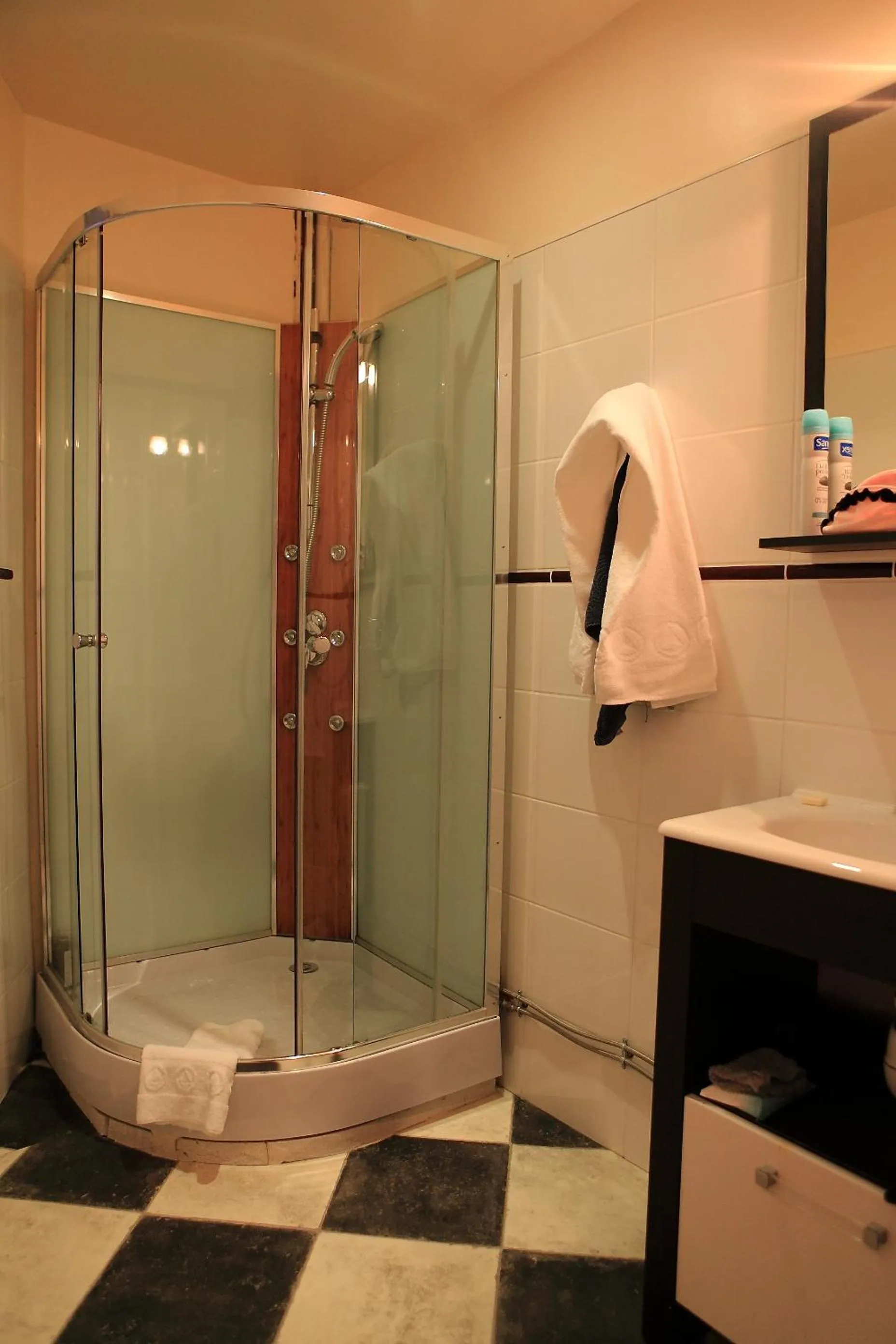 Bathroom in Hotel du Cygne