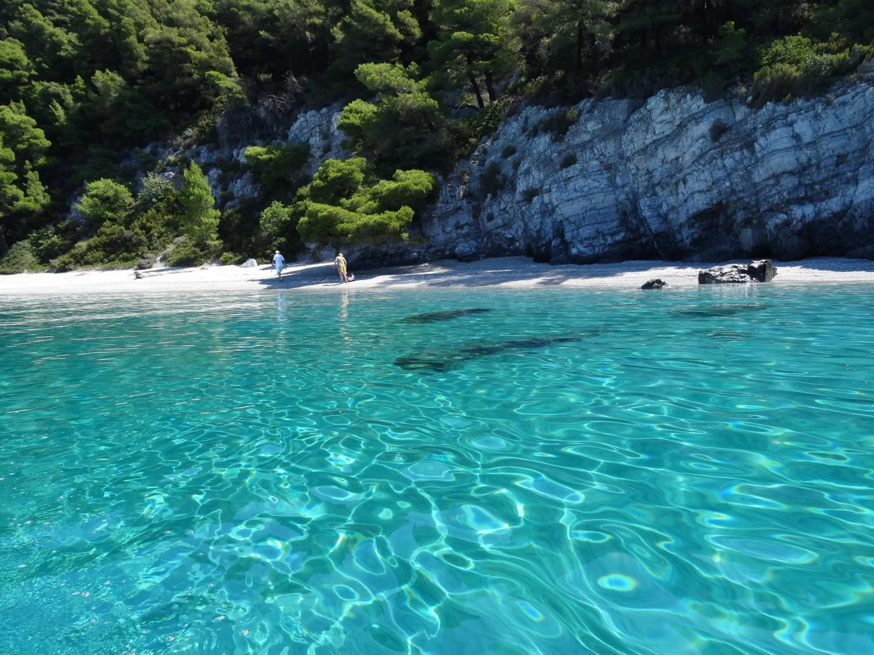 Beach in Anna Maria - Vanessa Apartments